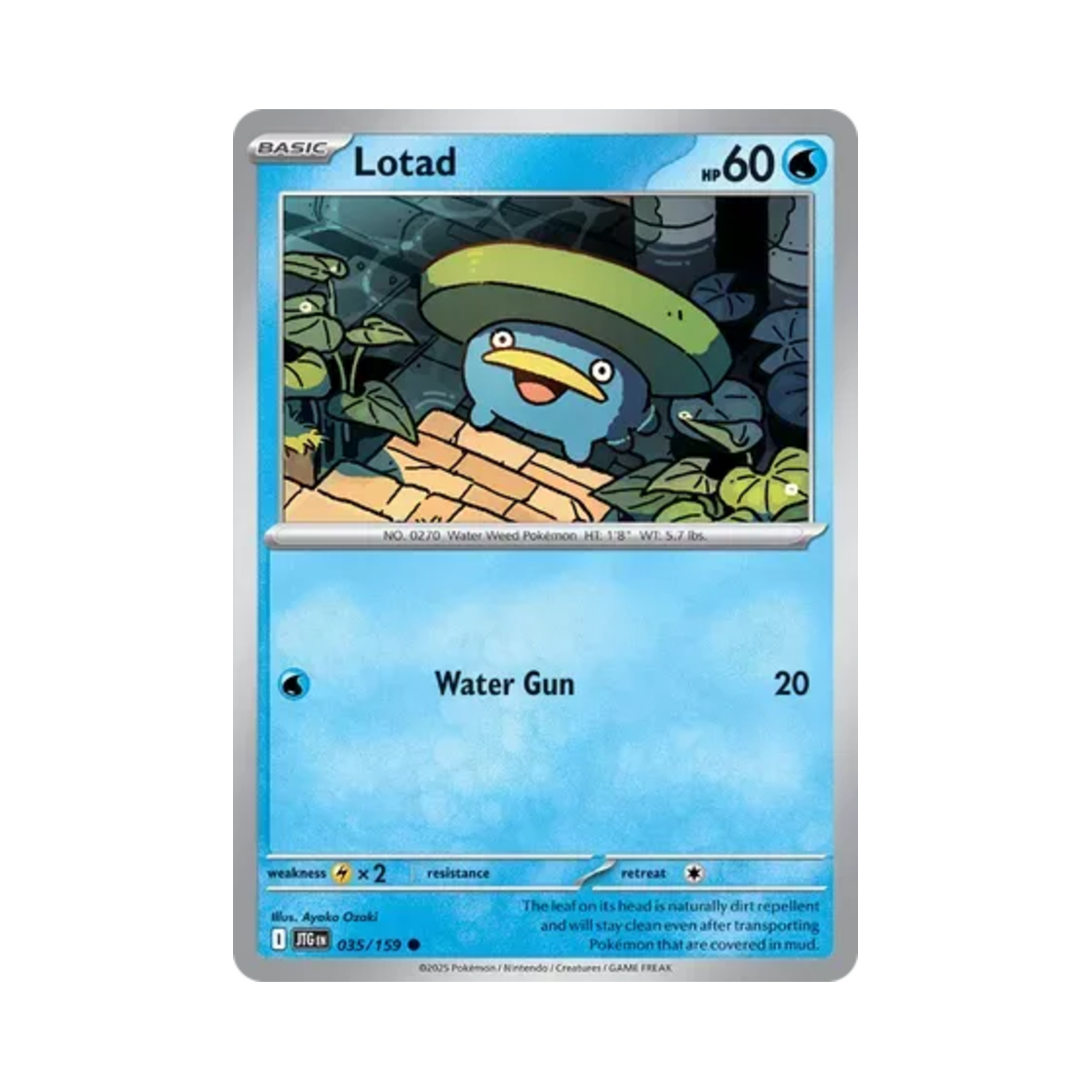 포켓몬 TCG 연꽃몬 C 저니 투게더 (영문판)(Pokemon TCG Lotad C Journey Together (English Ver.)) - 1