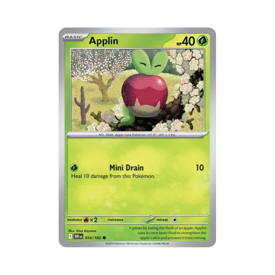 포켓몬 TCG 과사삭벌레 C 데스티니드 라이벌스 (영문판)(Pokemon TCG Applin C Destined Rivals (English Ver.))