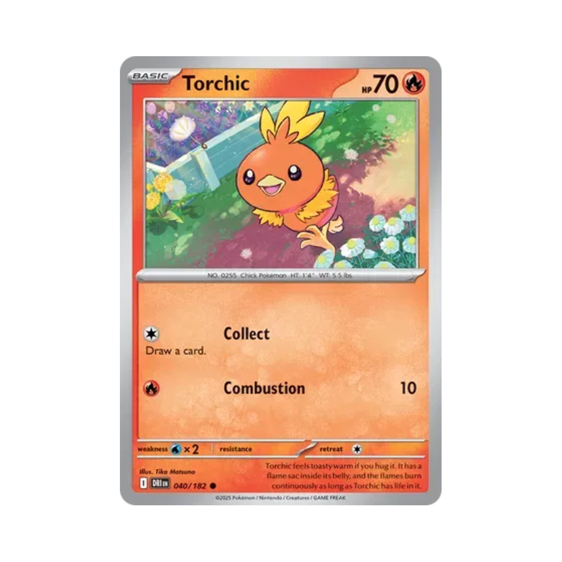 포켓몬 TCG 아차모 C 데스티니드 라이벌스 (영문판)(Pokemon TCG Torchic C Destined Rivals (English Ver.)) - 1