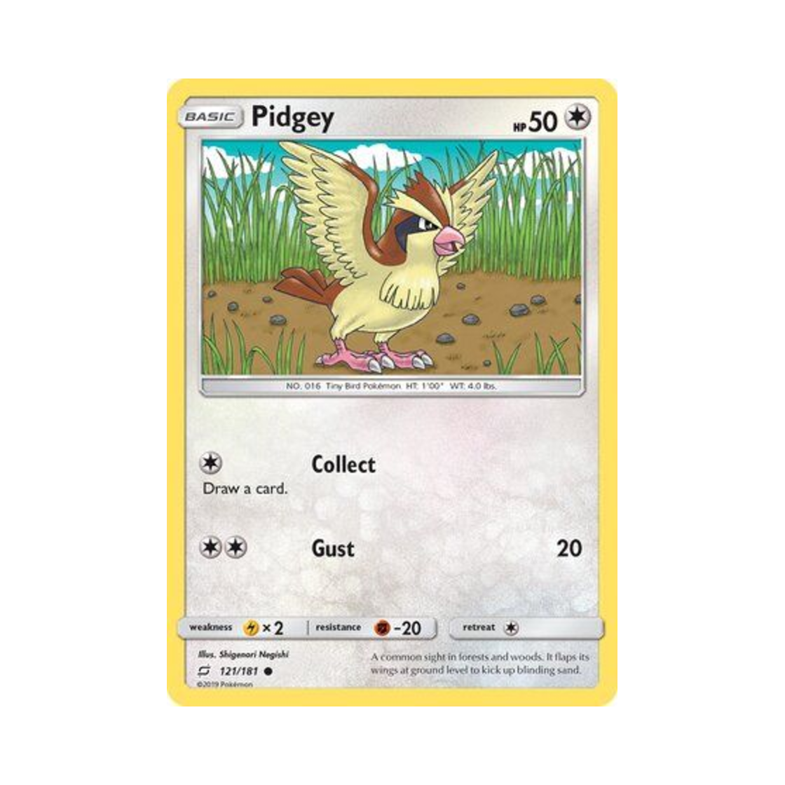 포켓몬 TCG 구구 C 팀업 (영문판)(Pokemon TCG Pidgey C Team Up (English Ver.)) - 1