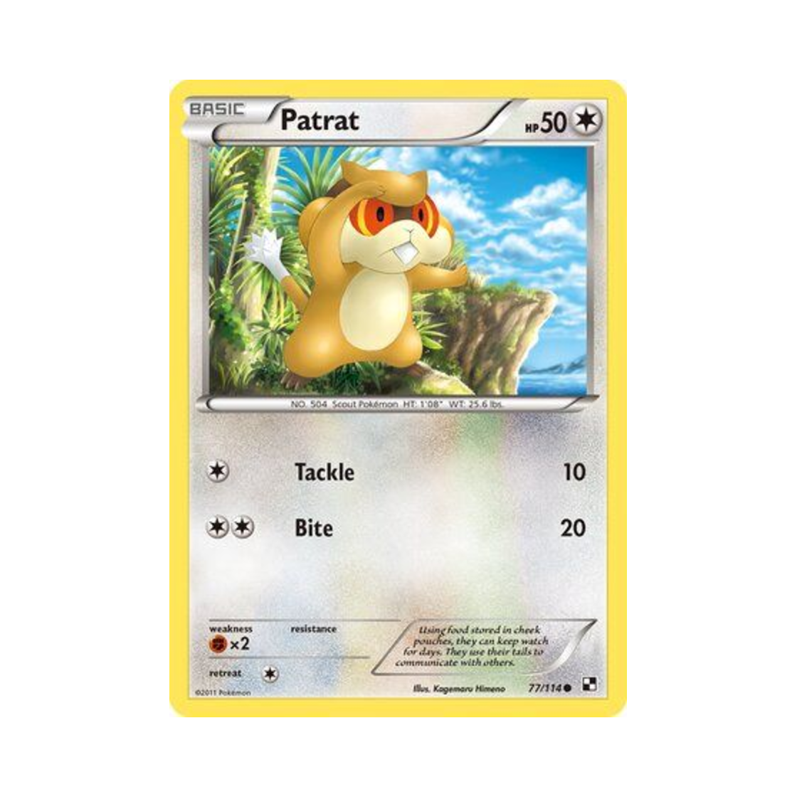 포켓몬 TCG 보르쥐 C 블랙 & 화이트 (영문판)(Pokemon TCG Patrat C Black & White (English Ver.)) - 1