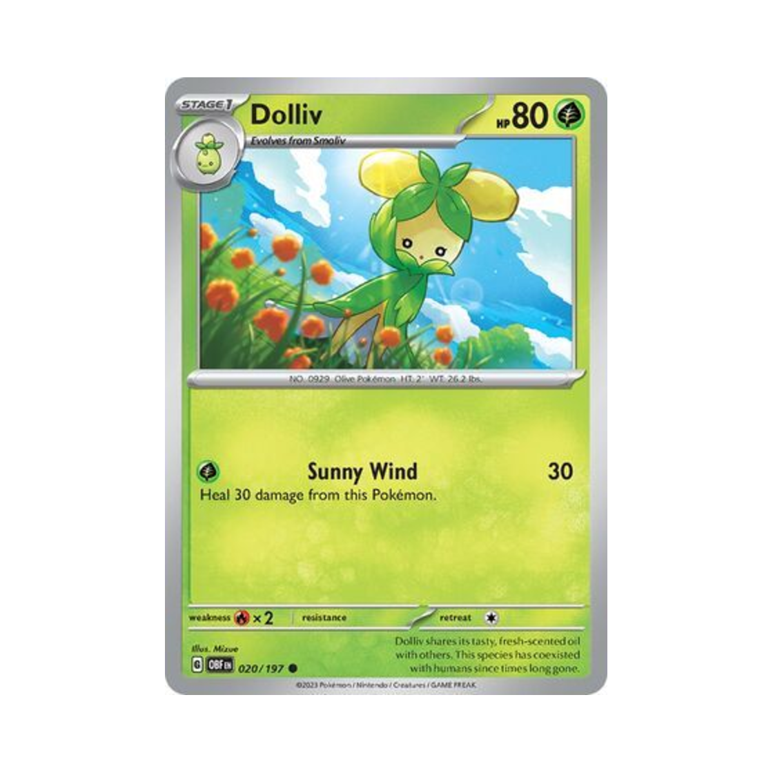포켓몬 TCG 올리뇨 C 옵시디언 플레임즈 (영문판)(Pokemon TCG Dolliv C Obsidian Flames (English Ver.)) - 1