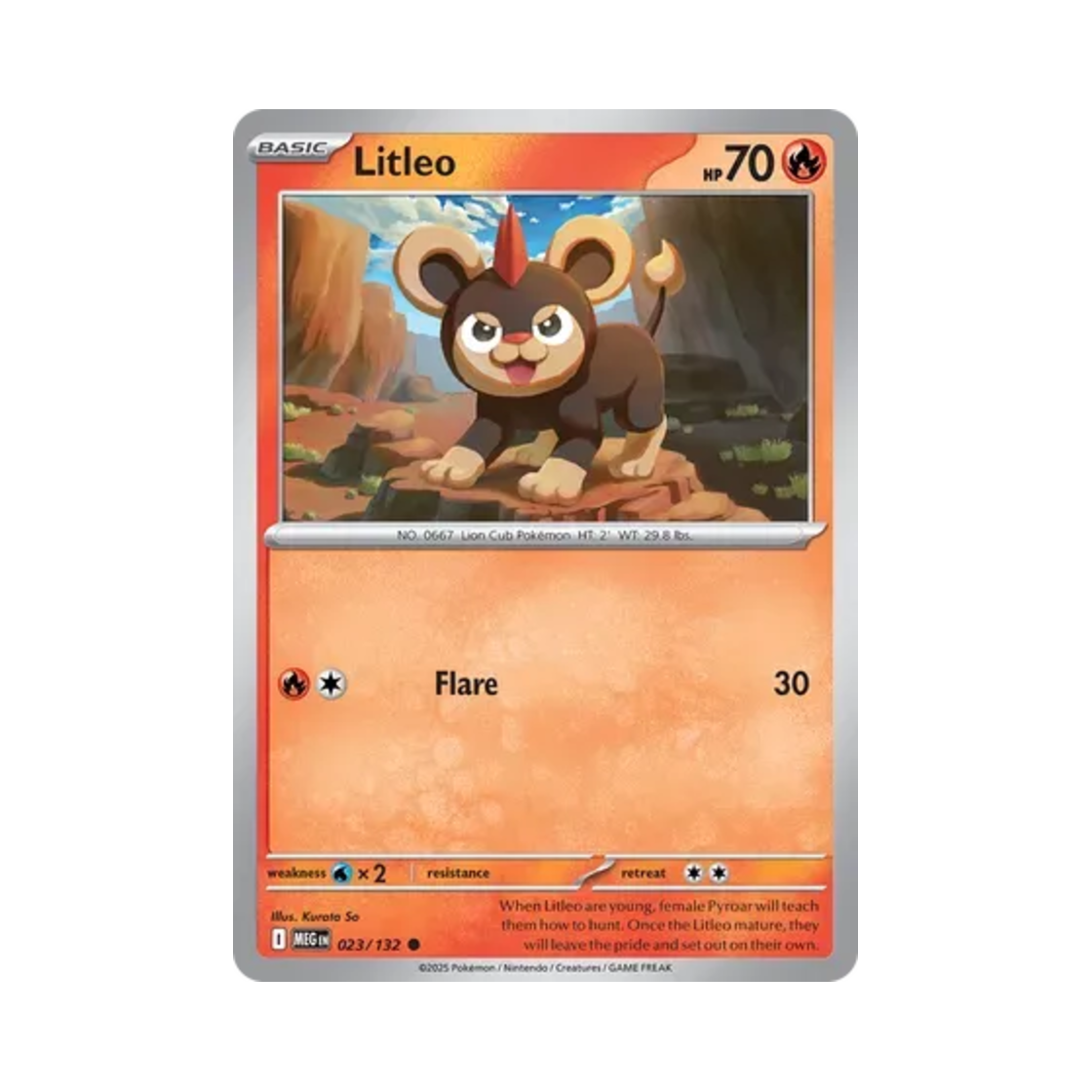 포켓몬 TCG 레오꼬 C 메가 에볼루션 (영문판)(Pokemon TCG Litleo C Mega Evolution (English Ver.))