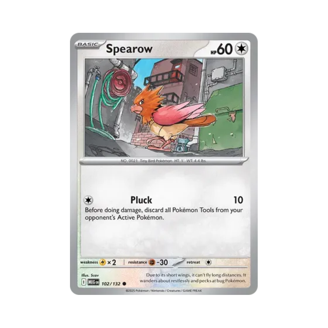 포켓몬 TCG 깨비참 C 메가 에볼루션 (영문판)(Pokemon TCG Spearow C Mega Evolution (English Ver.)) - 1