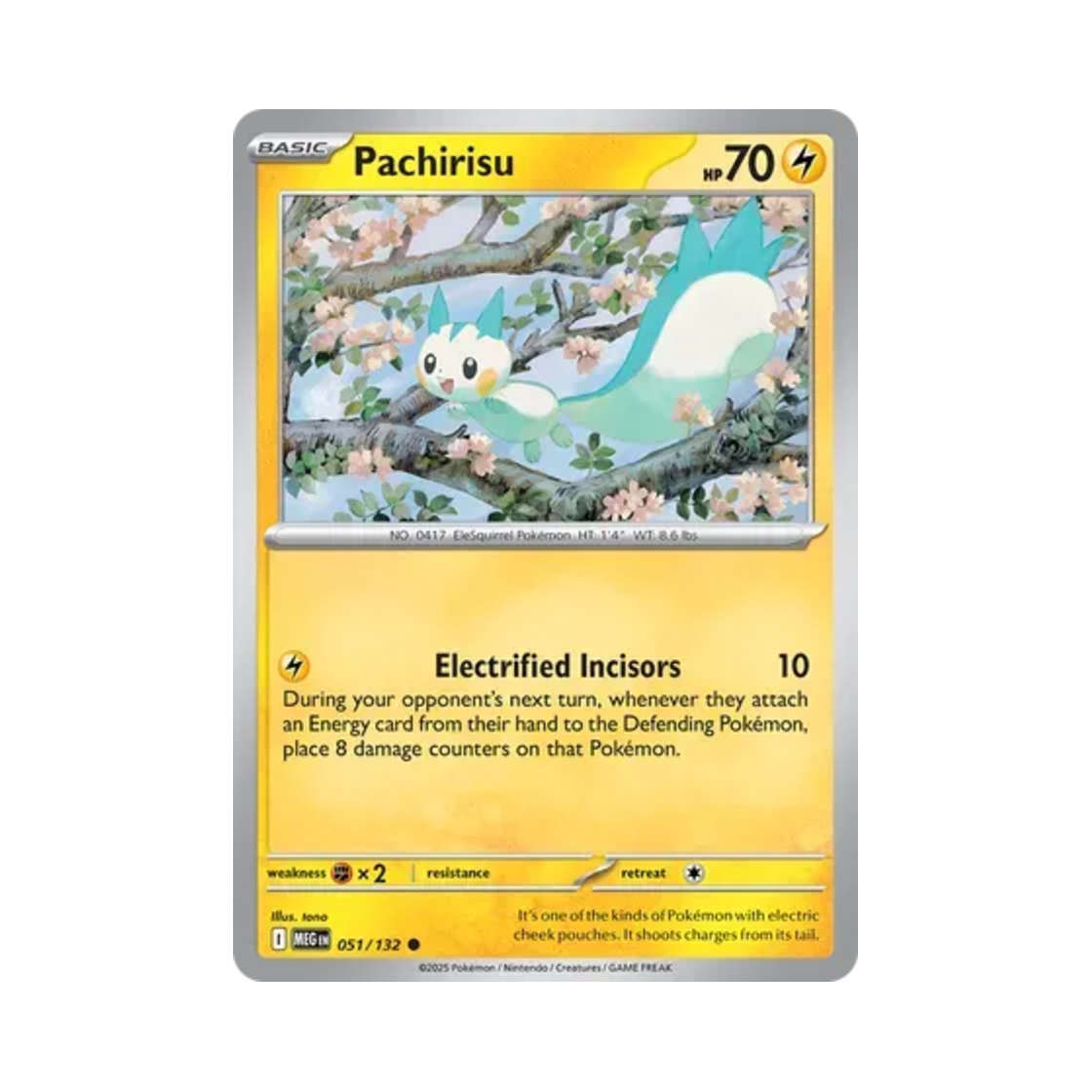 포켓몬 TCG 파치리스 C 메가 에볼루션 (영문판)(Pokemon TCG Pachirisu C Mega Evolution (English Ver.)) - 1