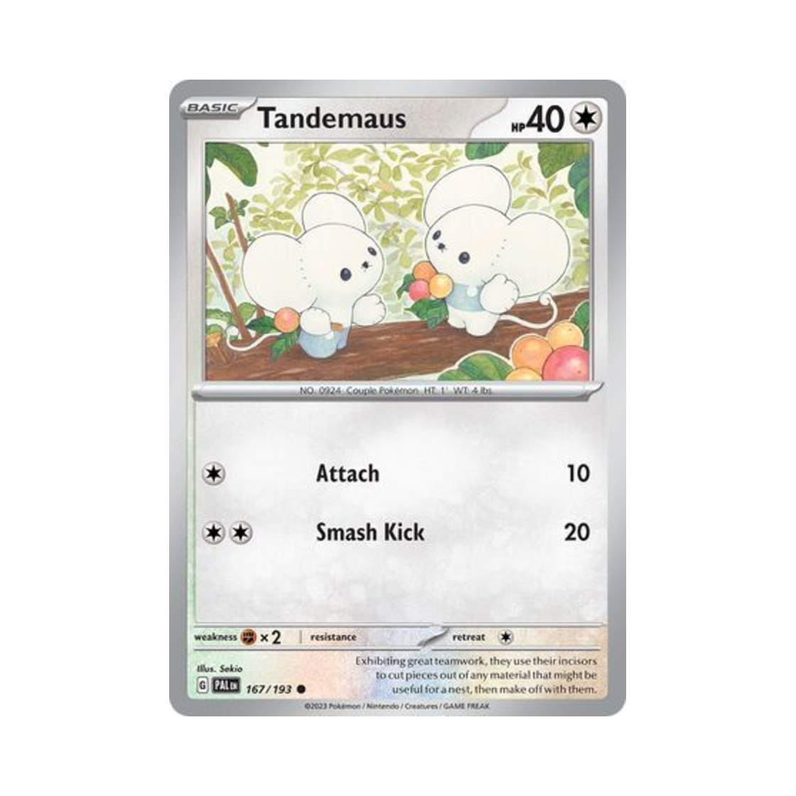 포켓몬 TCG 두리쥐 C 팔데아 이볼브드 (영문판)(Pokemon TCG Tandemaus C Paldea Evolved (English Ver.)) - 1