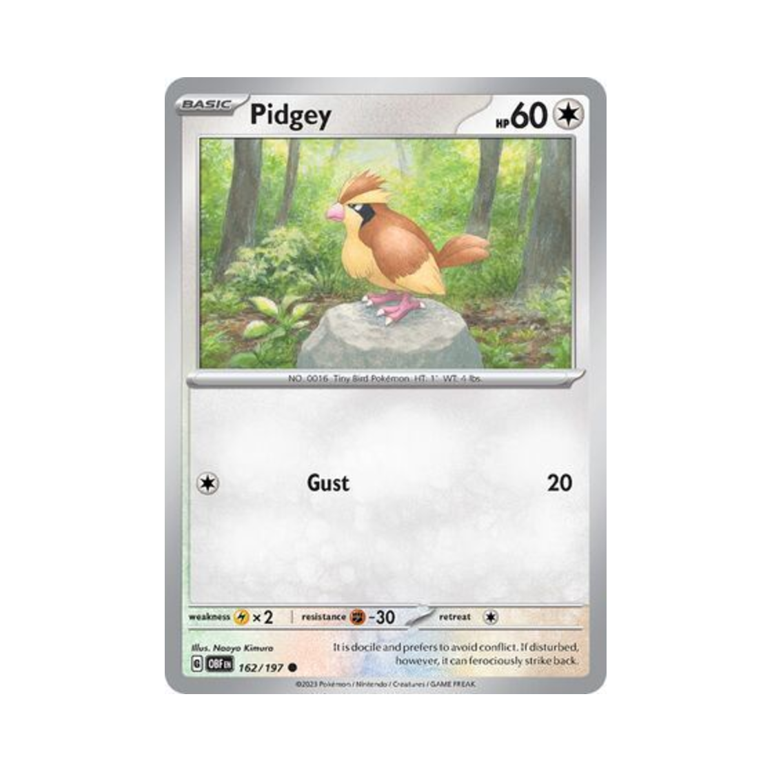 포켓몬 TCG 구구 C 옵시디언 플레임즈 (영문판)(Pokemon TCG Pidgey C Obsidian Flames (English Ver.)) - 1