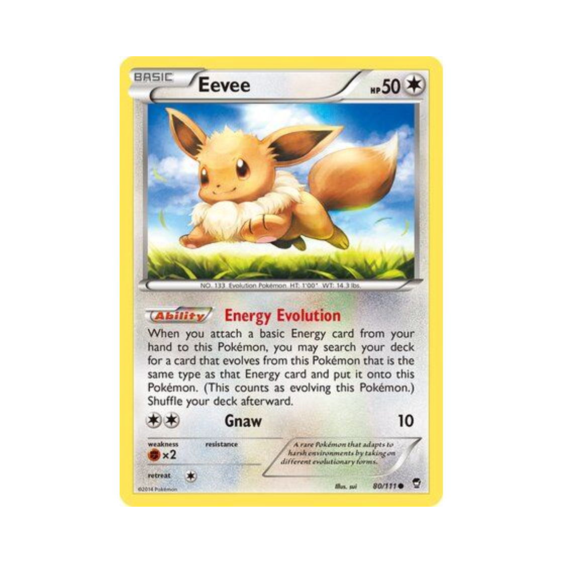 포켓몬 TCG 이브이 C 퓨리어스 피스트 (영문판)(Pokemon TCG Eevee C Furious Fists (English Ver.)) - 1