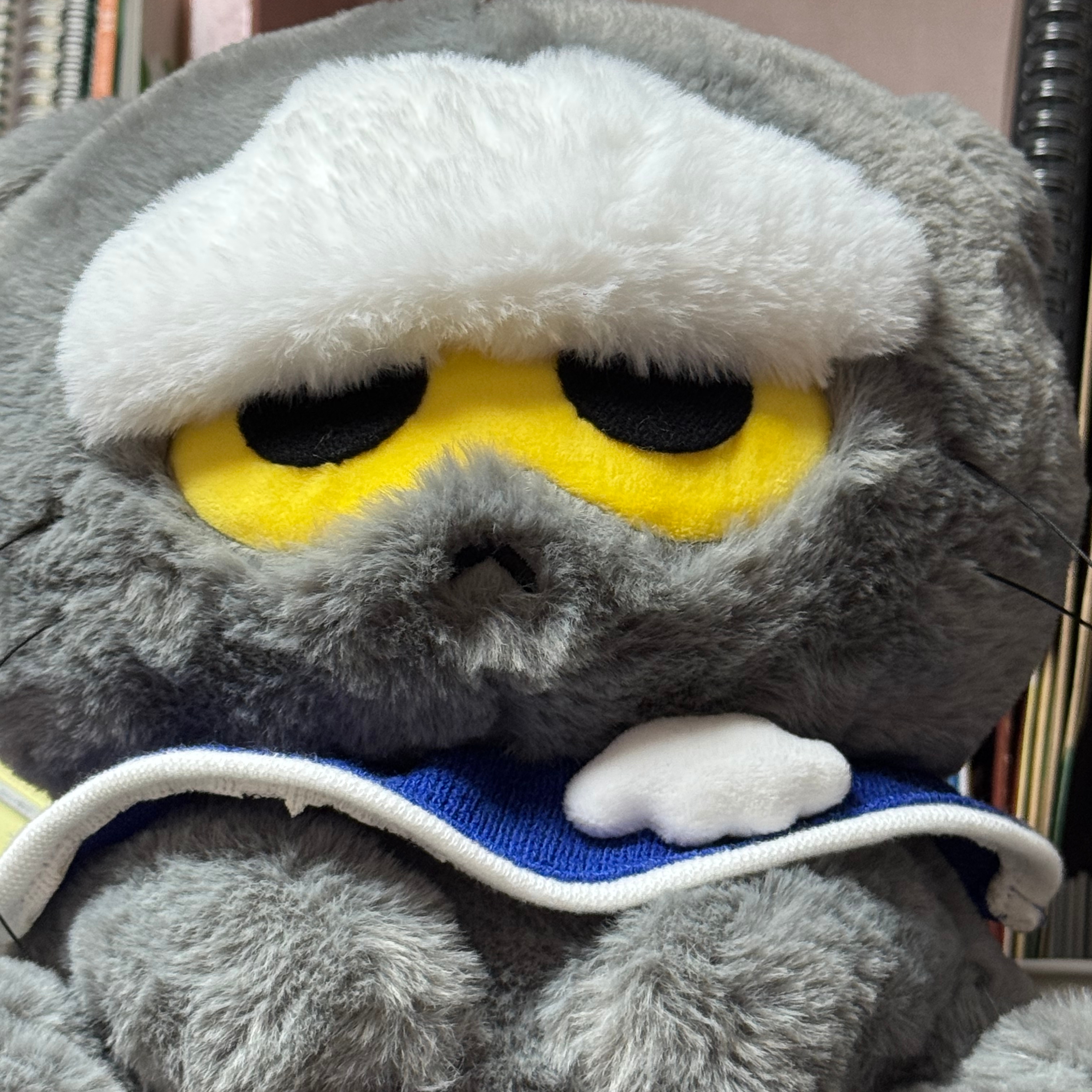 Zo&Friends Zoa Medium Plush Grey 착용 스타일 - 1