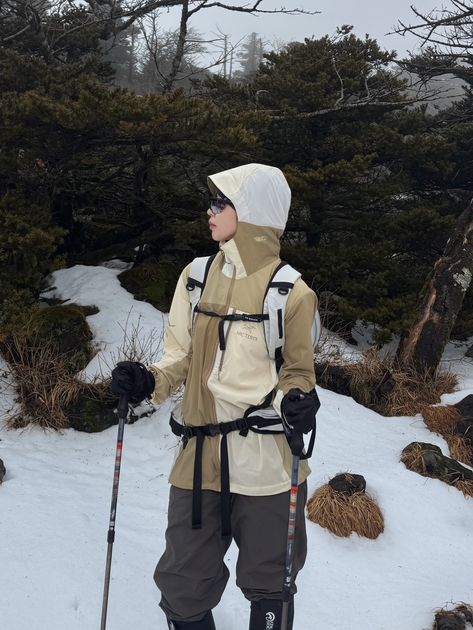 Arc'teryx x Beams Squamish Hoody Nagomi 착용 스타일