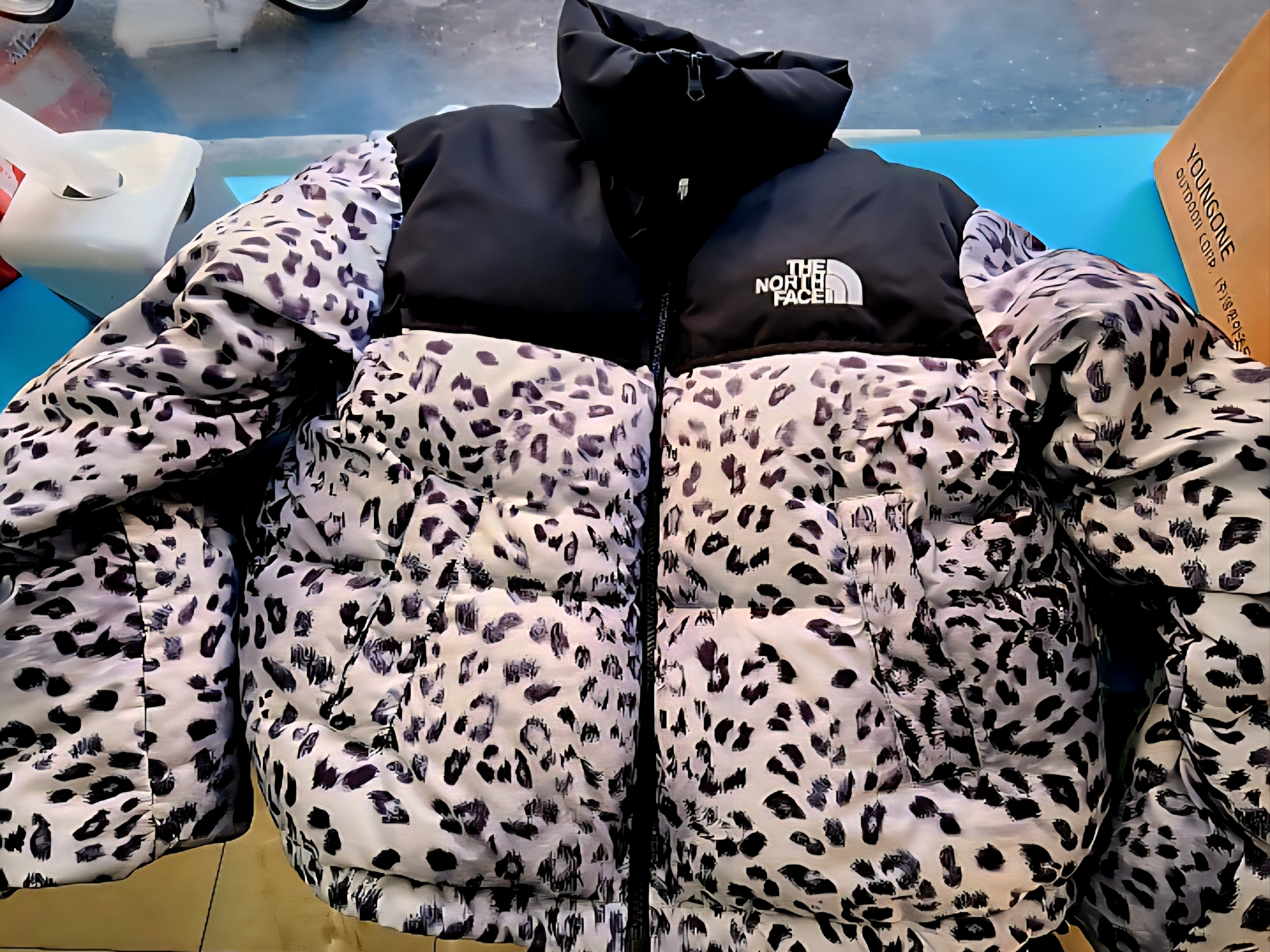 The North Face White Label Novelty Nuptse Down Jacket P Silver 착용 스타일