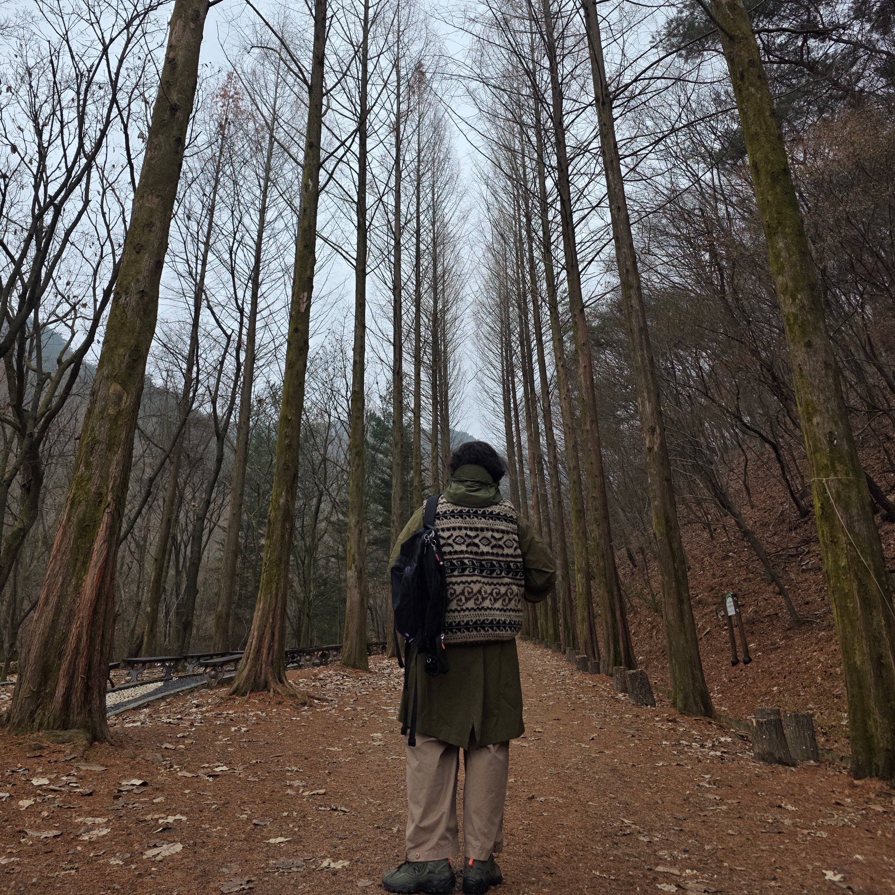Ballute Curved Reversible Padded Vest Black Nordic Fleece, Tretorn Nylon Fish Tail Hoodie Parka Olive 착용 스타일 - 2