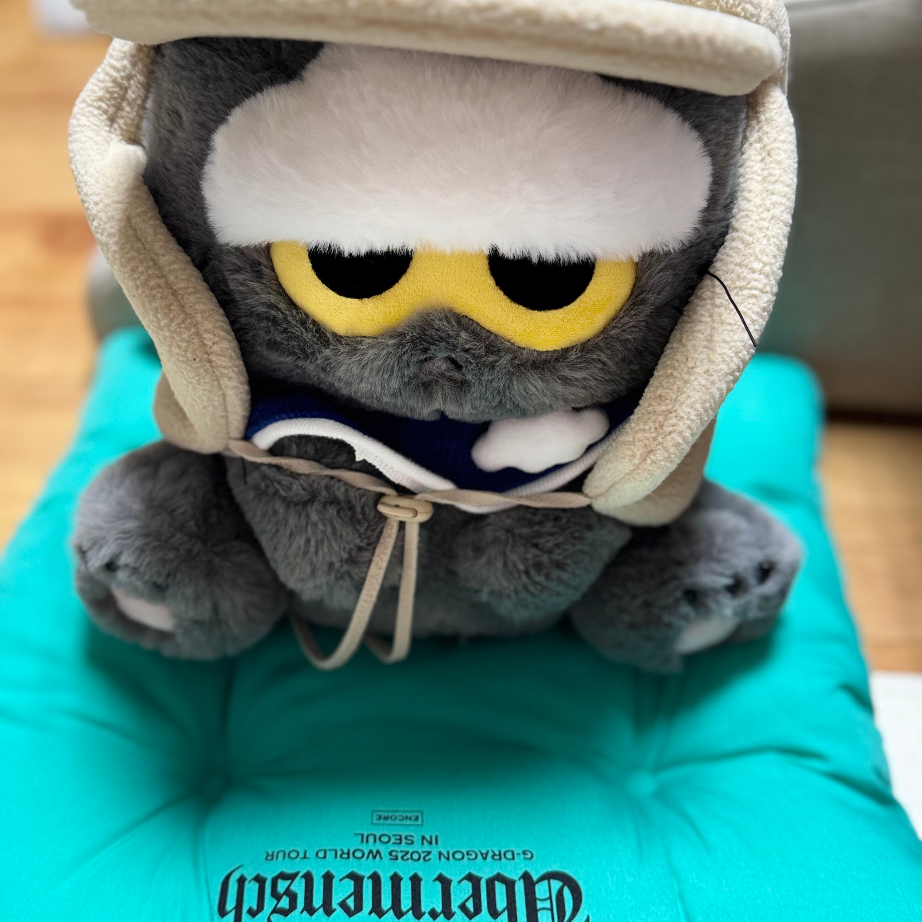 Zo&Friends Zoa Medium Plush Grey 착용 스타일 - 2