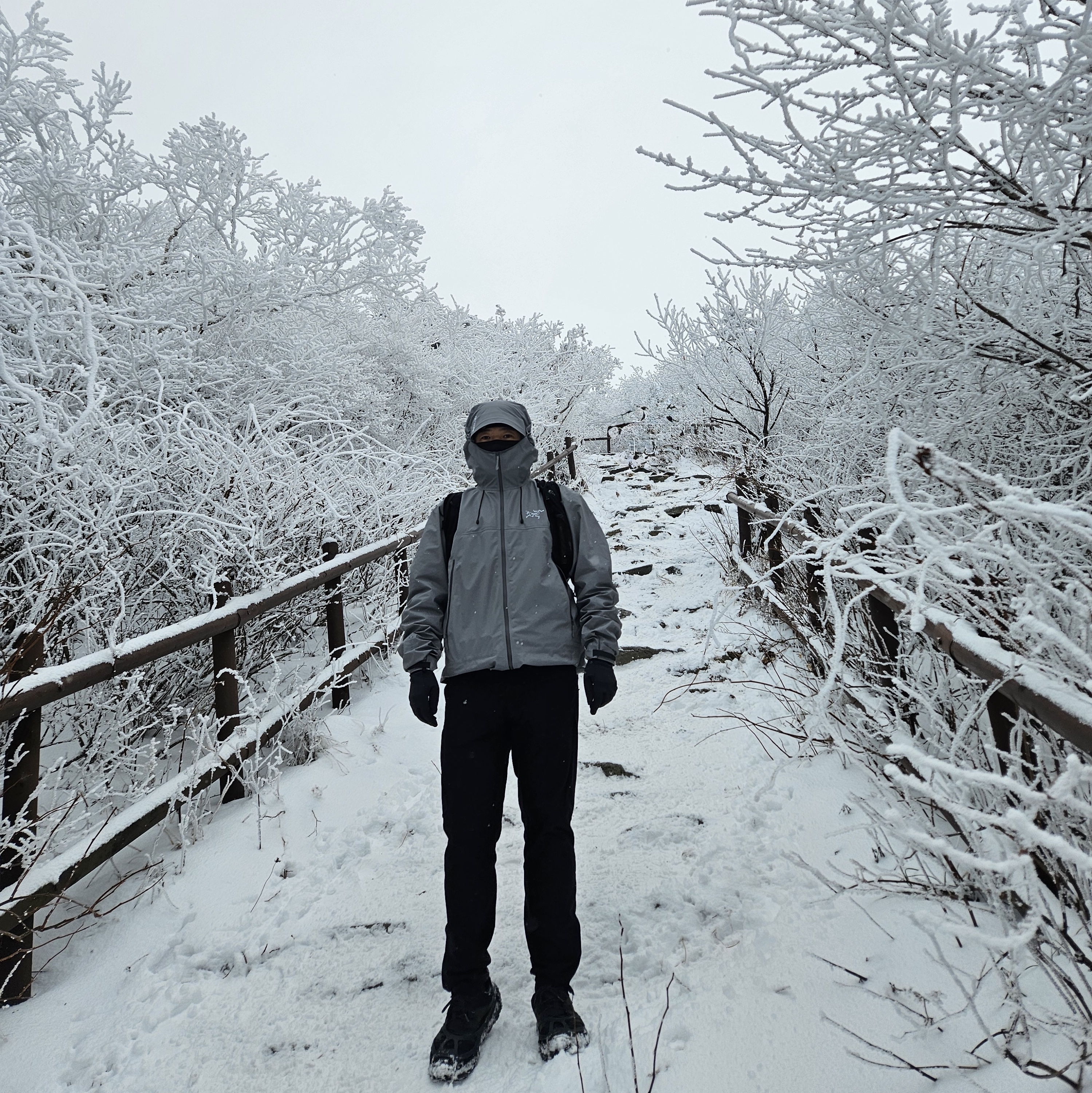 Arc'teryx Beta SL Jacket Void 착용 스타일