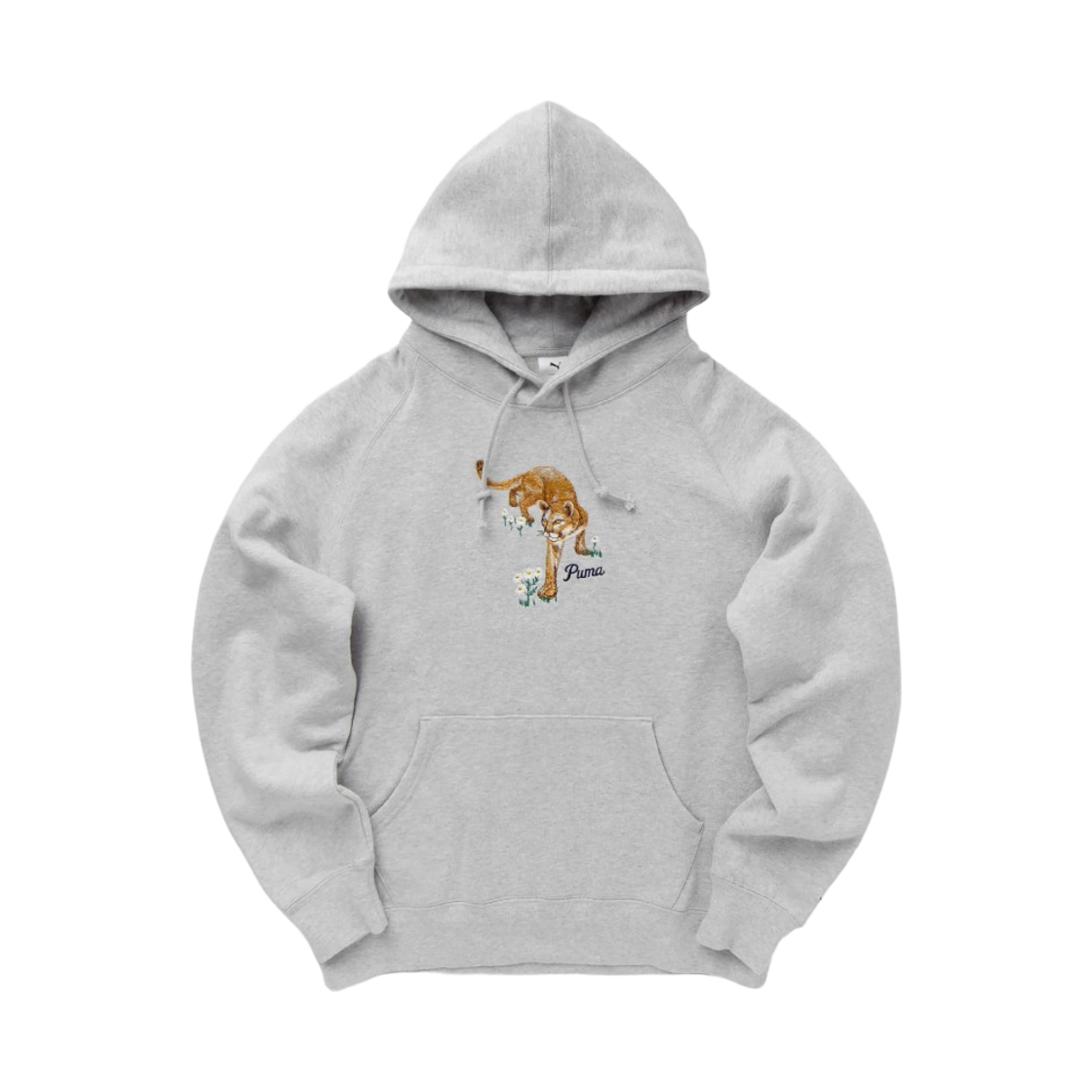 푸마 x 노아 그래픽 후드 그레이(Puma x Noah Graphic Hoodie Gray)