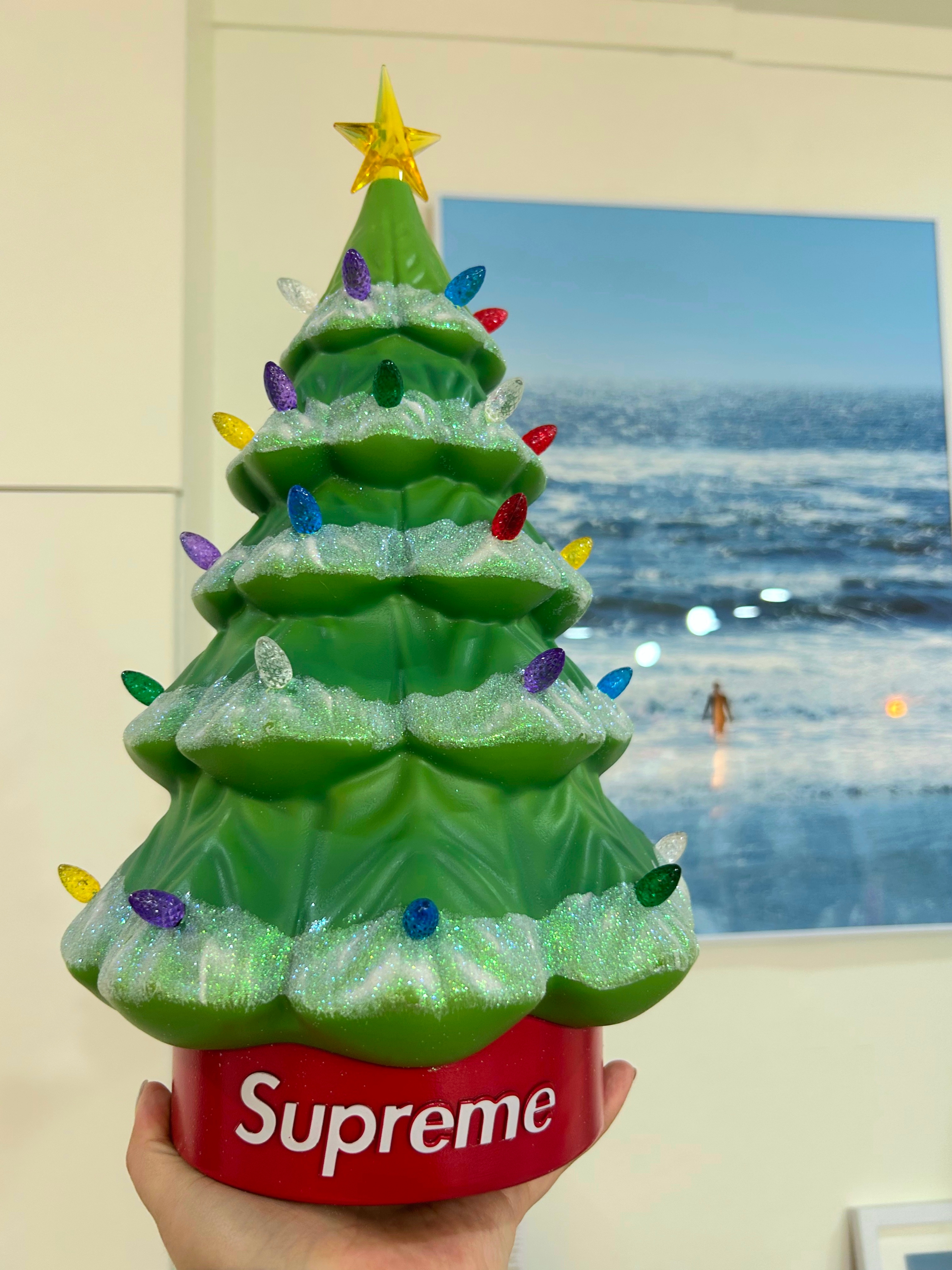 Supreme 15" Holiday Tree Green - 25FW 착용 스타일