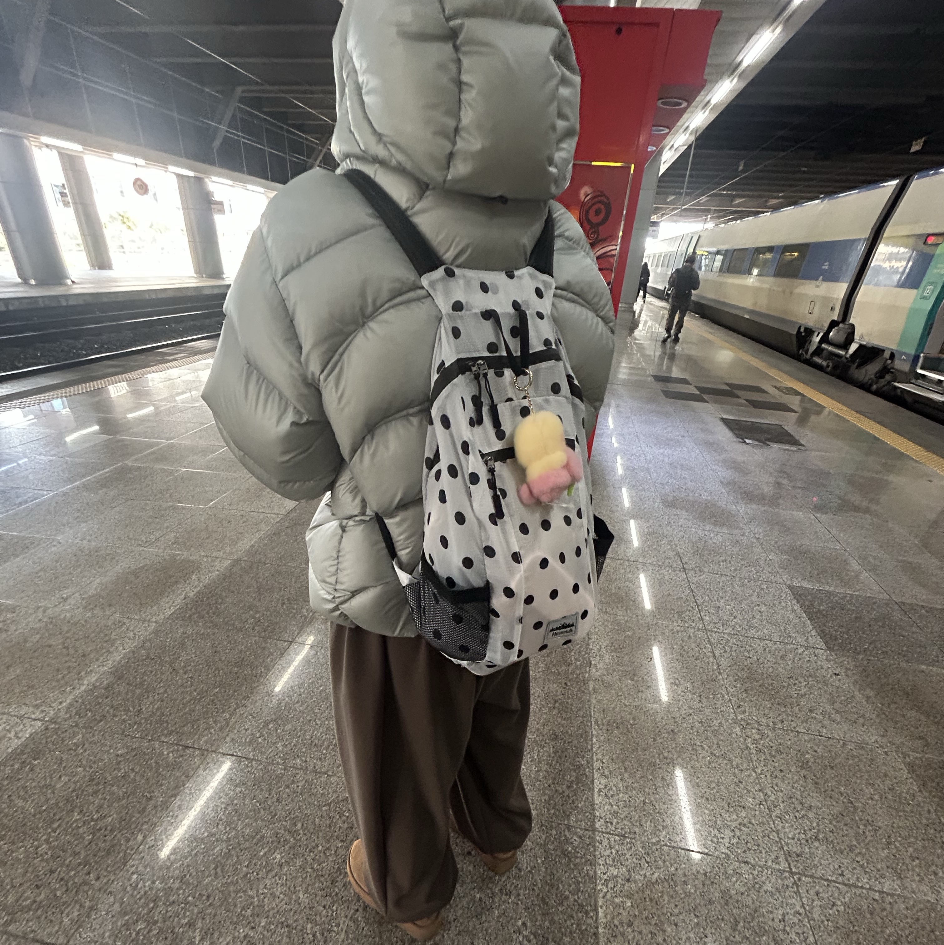 Heisan Ultra-light Compact Pocket Bag V1 Dot - White, New Balance Flying 77 Superlight Hooded Heavy Goose Down Light Grey 착용 스타일