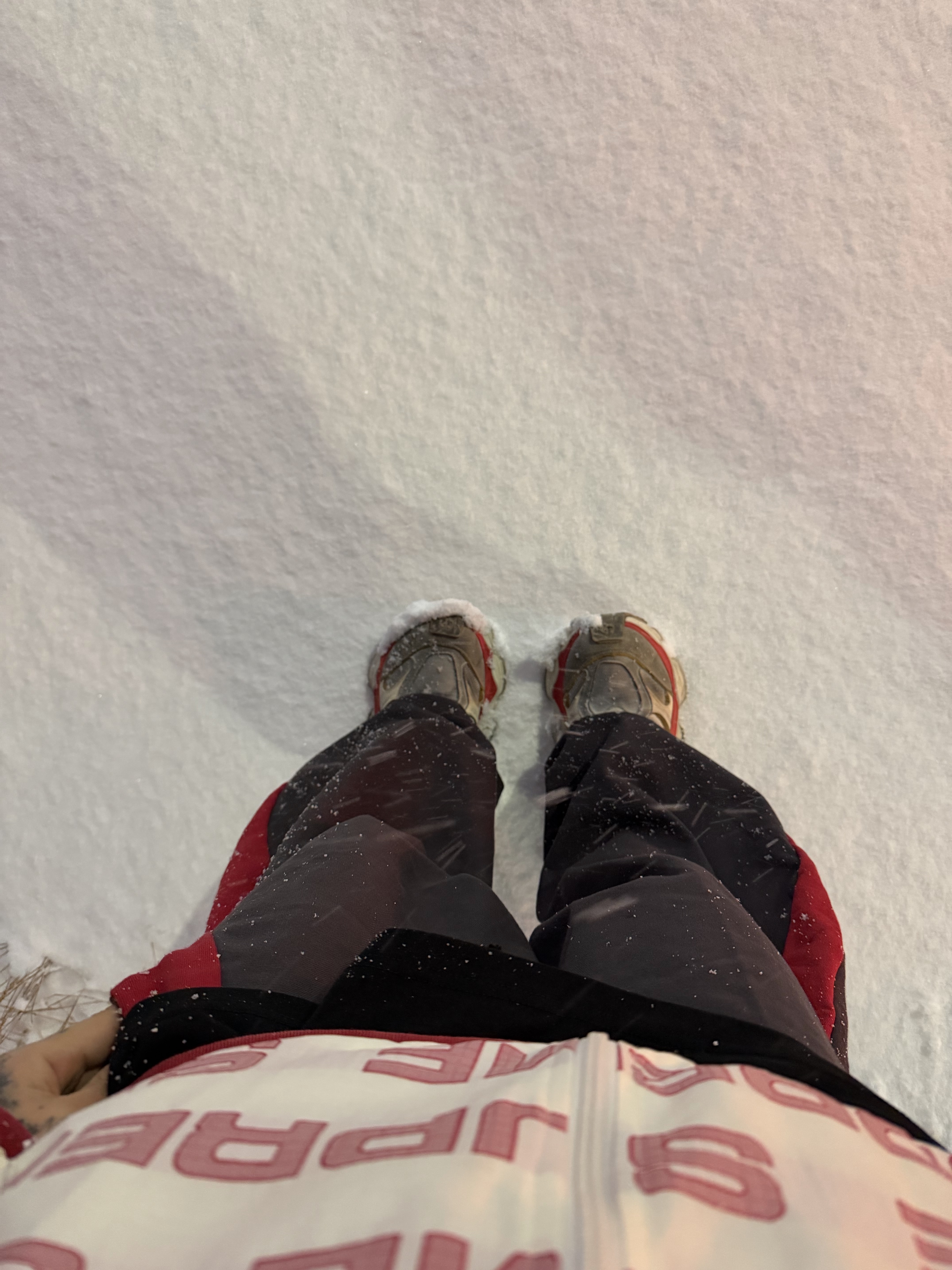 Balenciaga Cargo Sneakers Beige Grey Red 착용 스타일