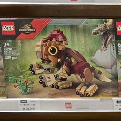 Lego Jurassic World Baby Dinosaur Dolores: Aquilops 착용 스타일