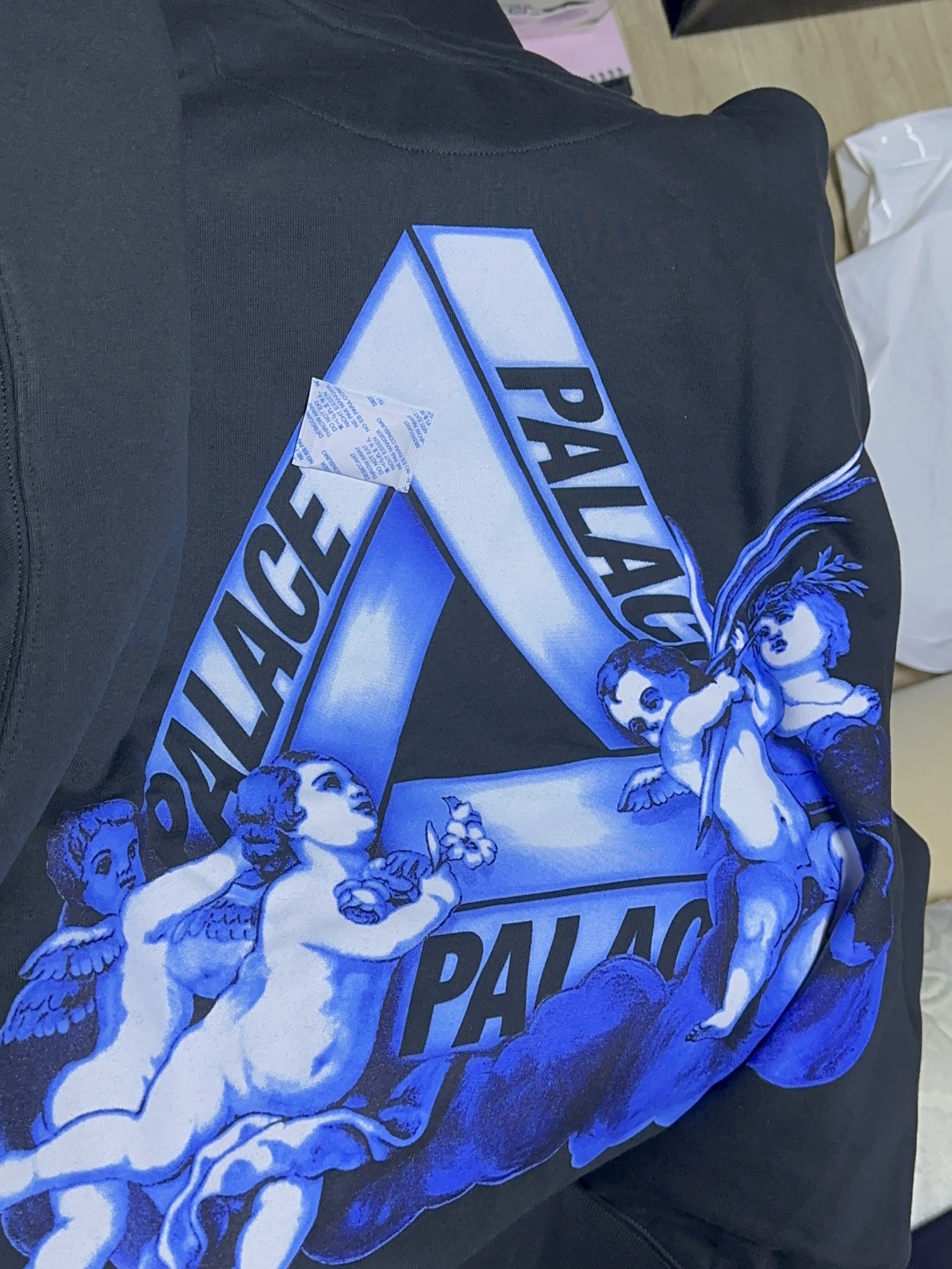 Palace Tri-Angelic Hood Skyline Black - 25FW 착용 스타일 - 1