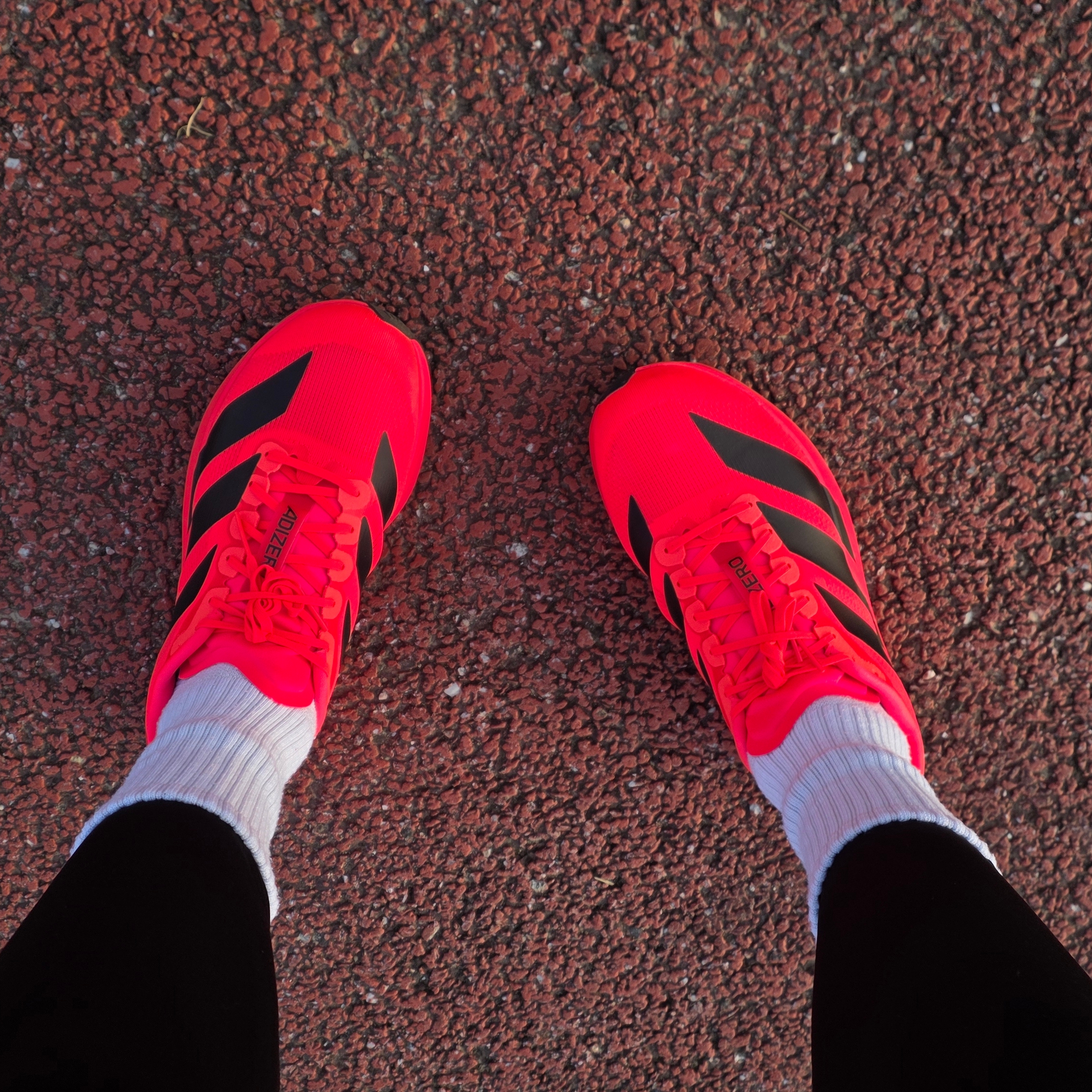 Adidas Adizero Evo SL Lucid Red Core Black 착용 스타일