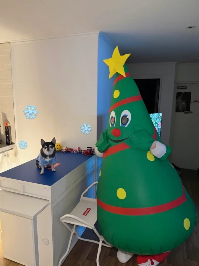 ์คํ์ผ ์นด๋