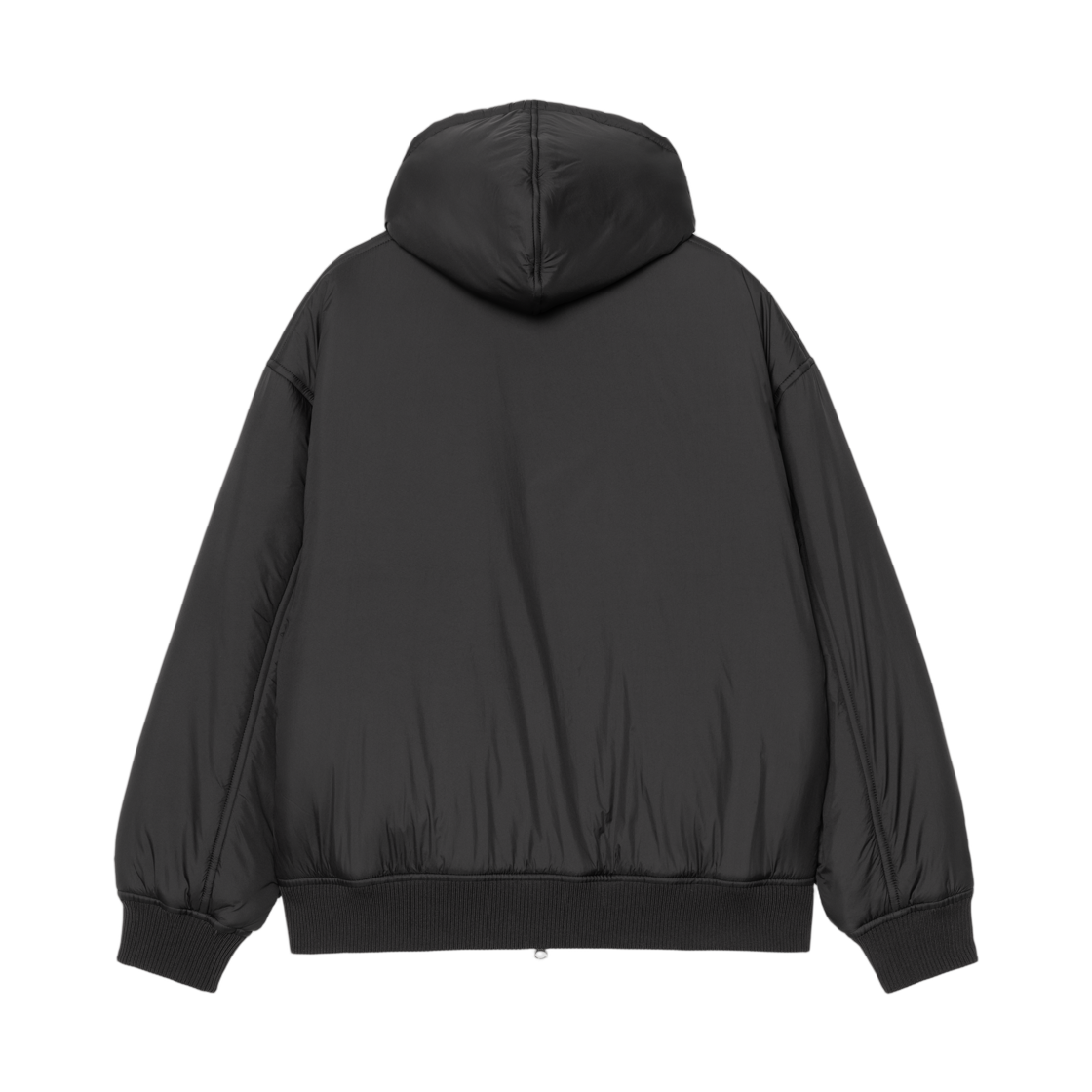(W) 칼하트 WIP 후드 갯 자켓 블랙((W) Carhartt WIP Hooded Gadd Jacket Black) - 2