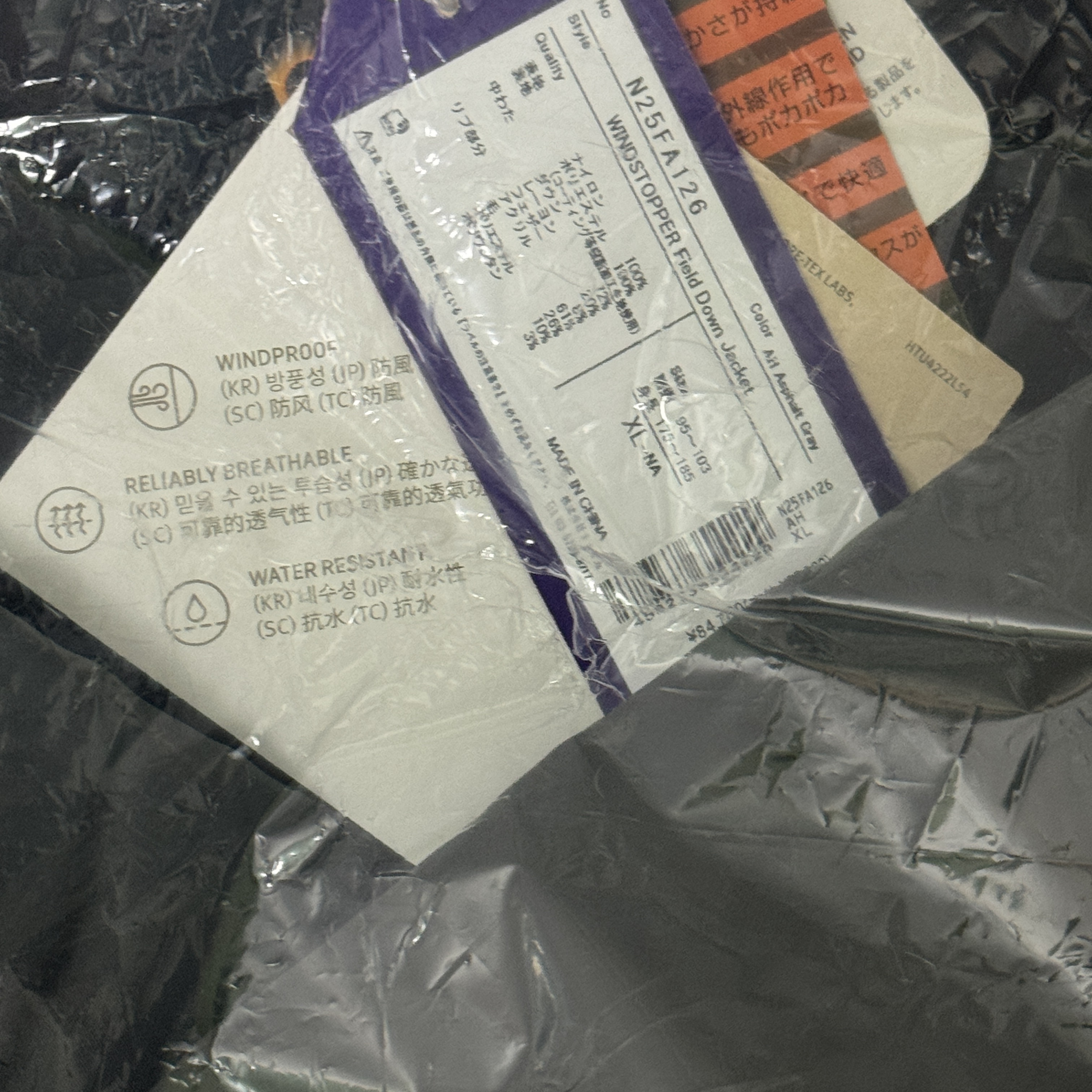 Palace x The North Face Purple Label Windstopper Field Down Jacket Asphalt Gray - 25FW 착용 스타일