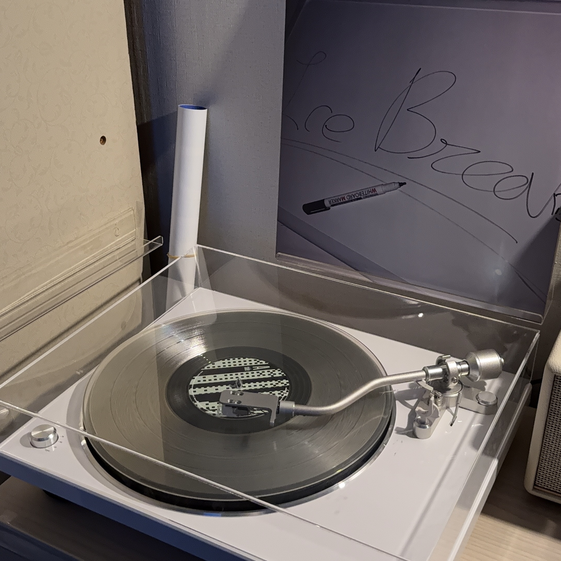 Orientation with LIVE [White LP 12"] 착용 스타일