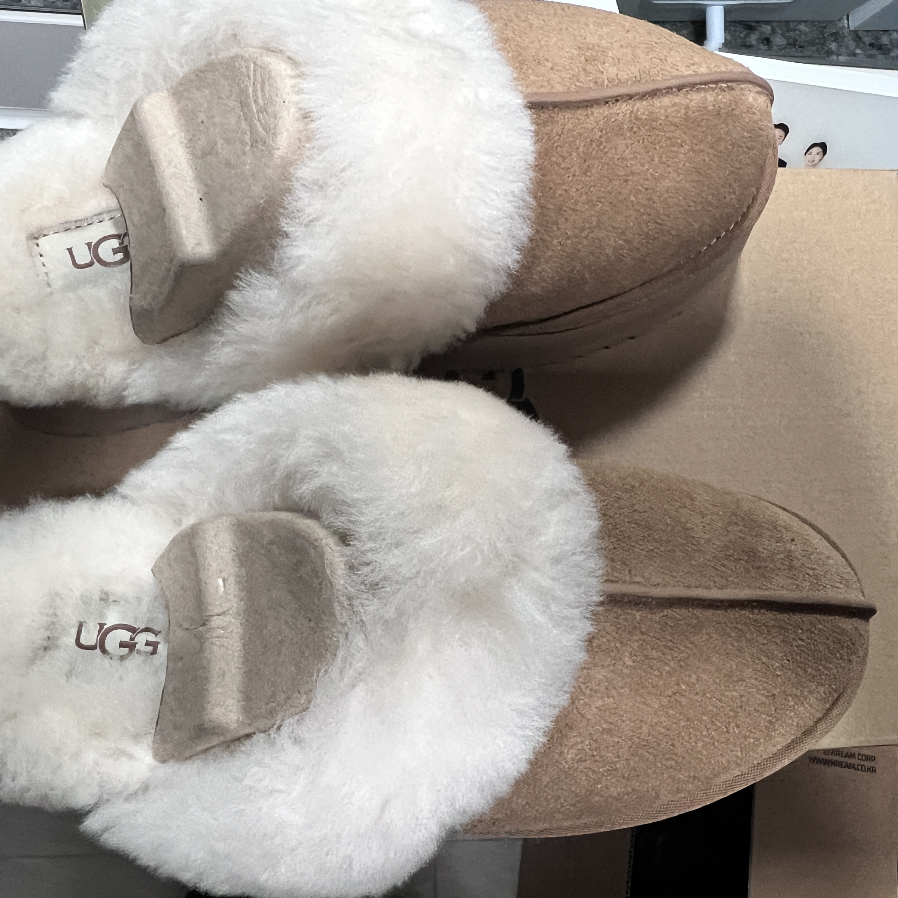 (W) UGG Disquette Slipper Chestnut 착용 스타일 - 2