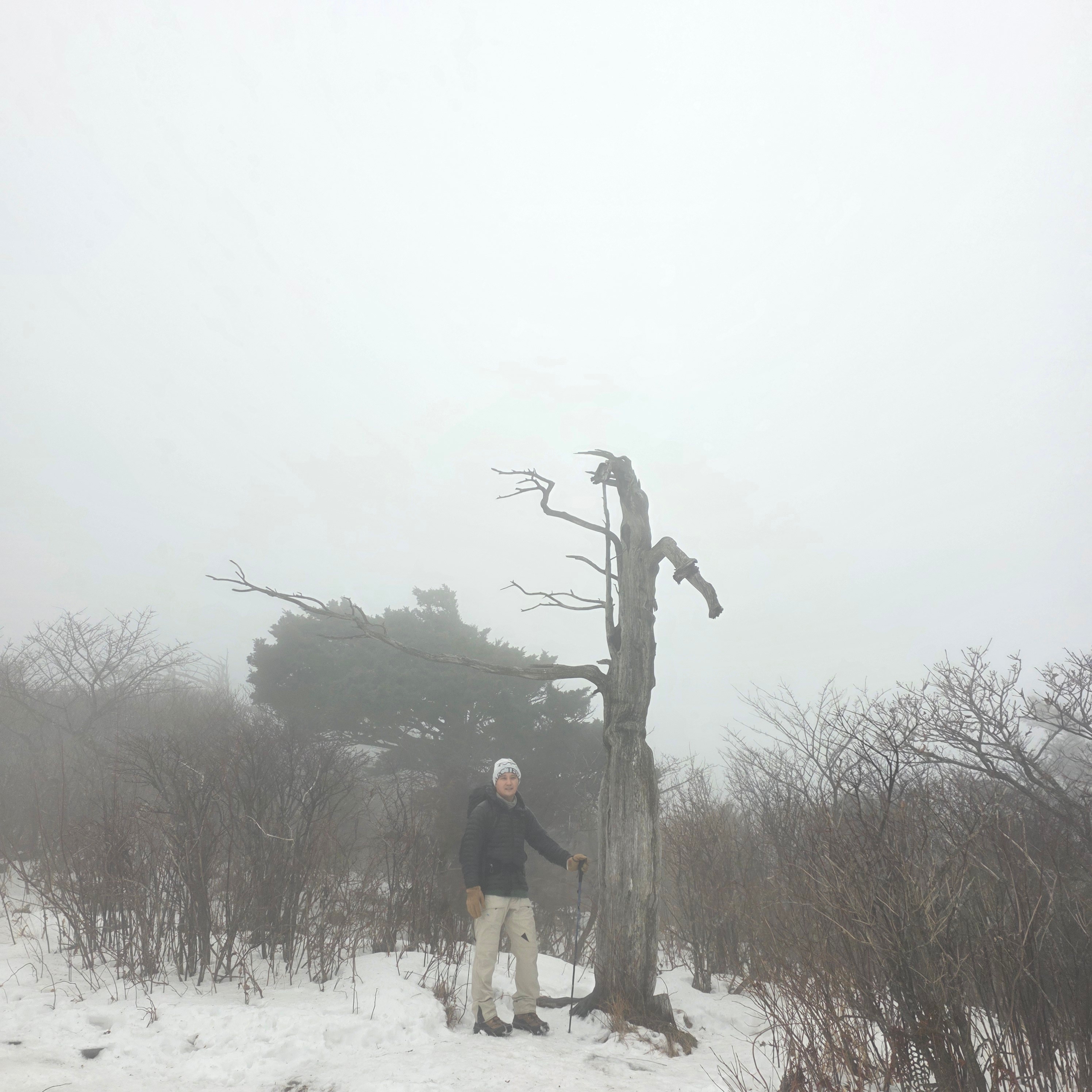 Arc'teryx Bird Word Toque Orca, Arc'teryx Cerium SL Hoody Black 착용 스타일