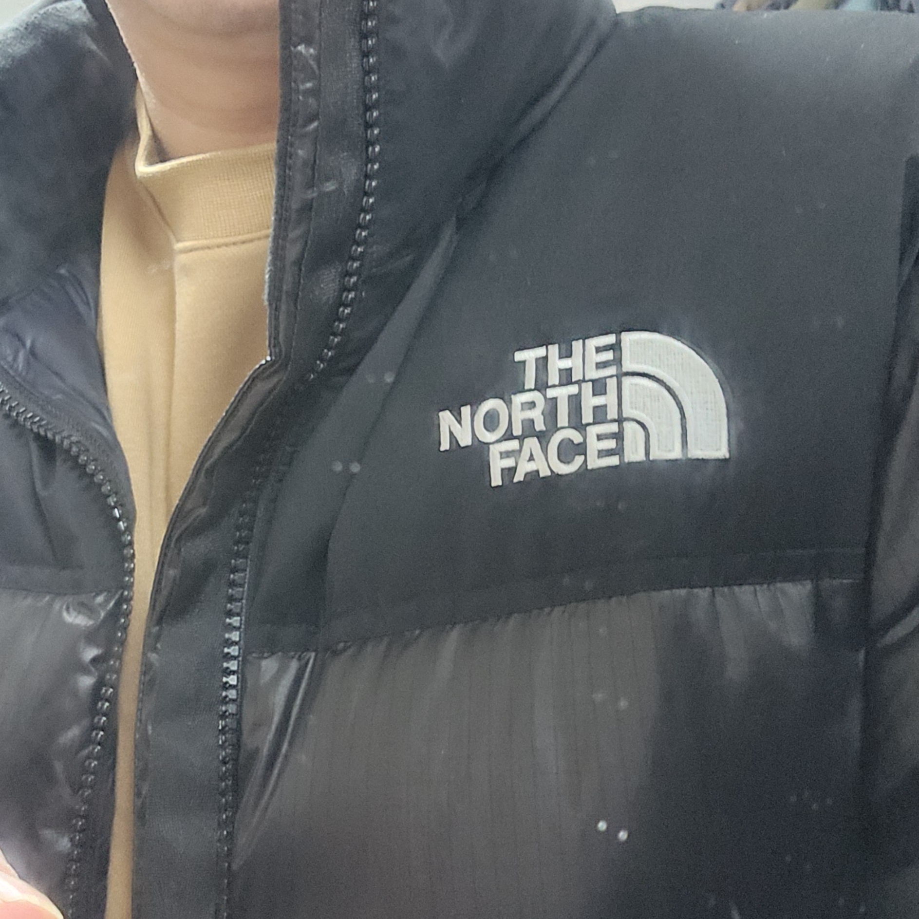 The North Face White Label Novelty Nuptse RDS Down Jacket Black 착용 스타일