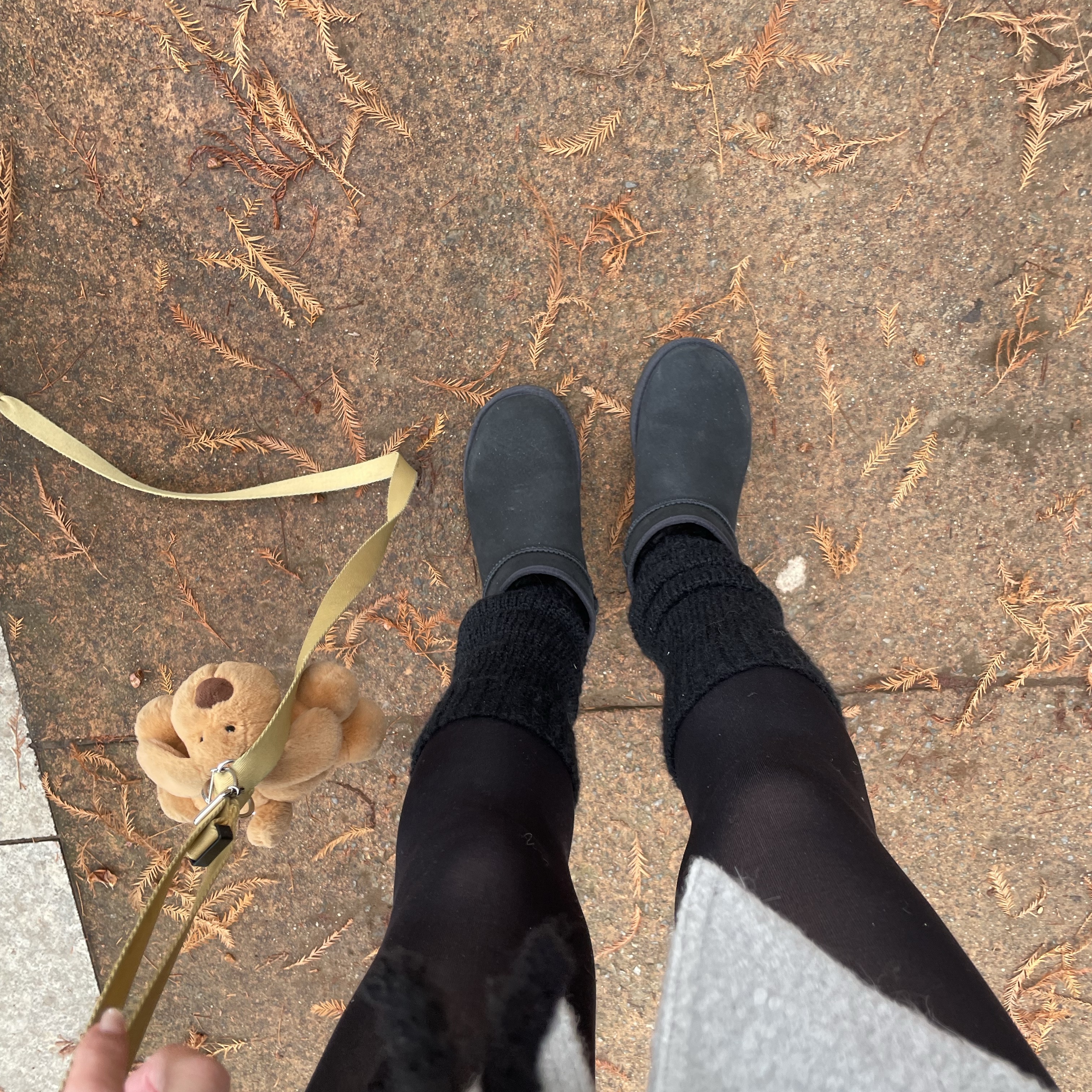 (W) UGG Classic Ultra Mini Boots Black 착용 스타일