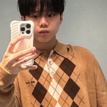 (W) Miu Miu Cashmere Polo Shirt Camel Brown 착용 스타일