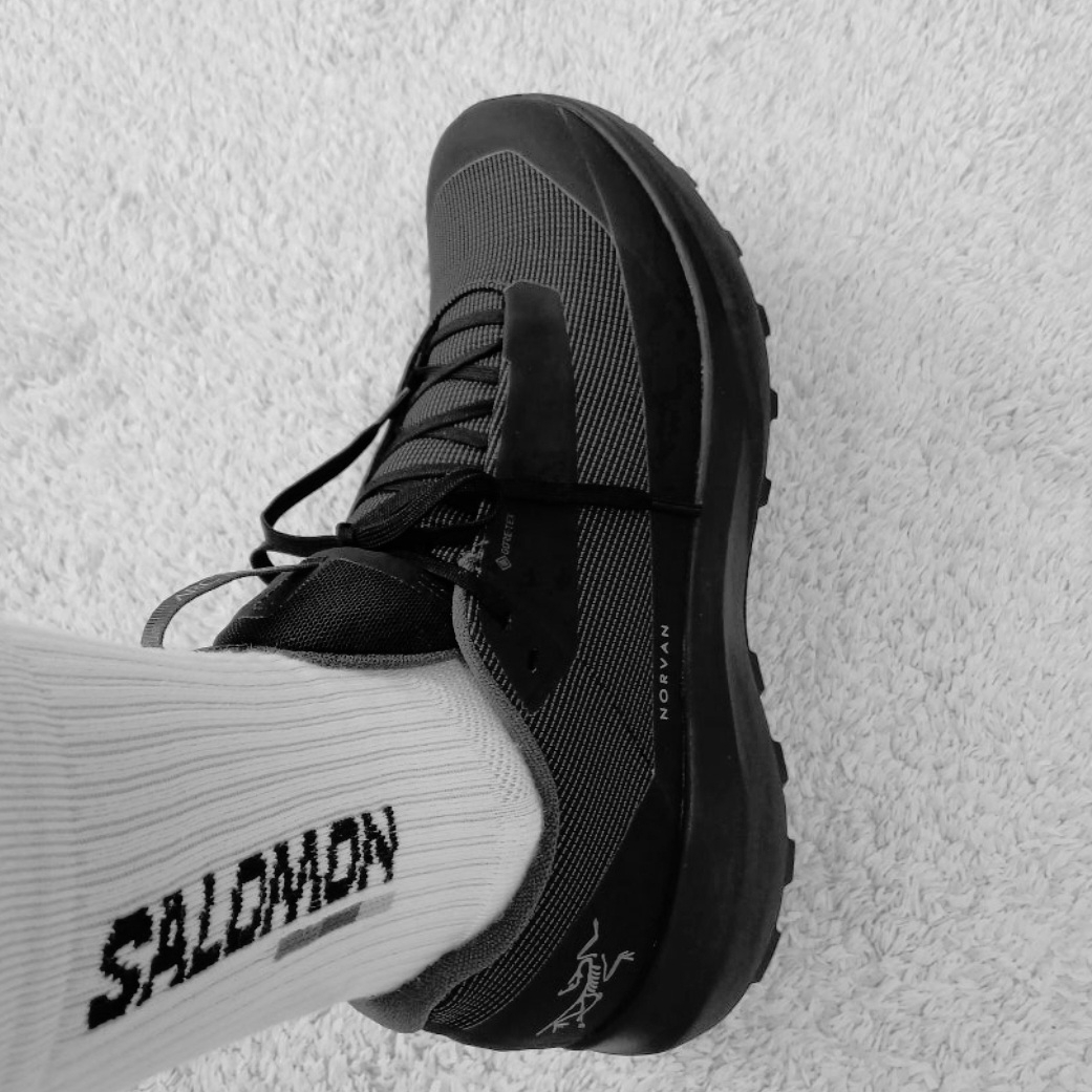 Arc'teryx Norvan LD 4 GTX Black 착용 스타일 - 4