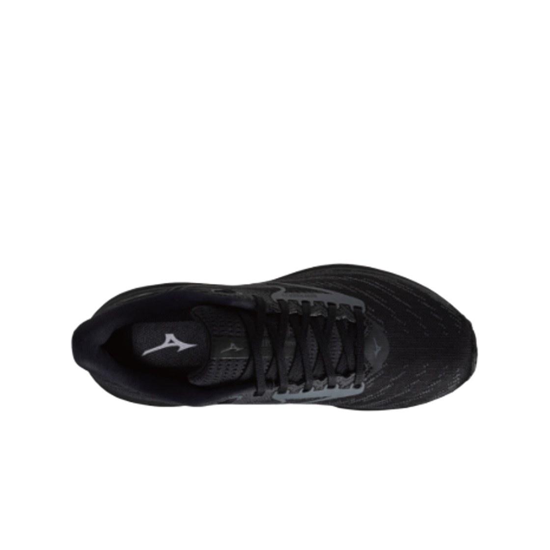 미즈노 웨이브 라이더 29 SW 블랙 아이언 게이트 - 2E 와이드(Mizuno Wave Rider 29 SW Black Iron Gate - 2E Wide) - 2