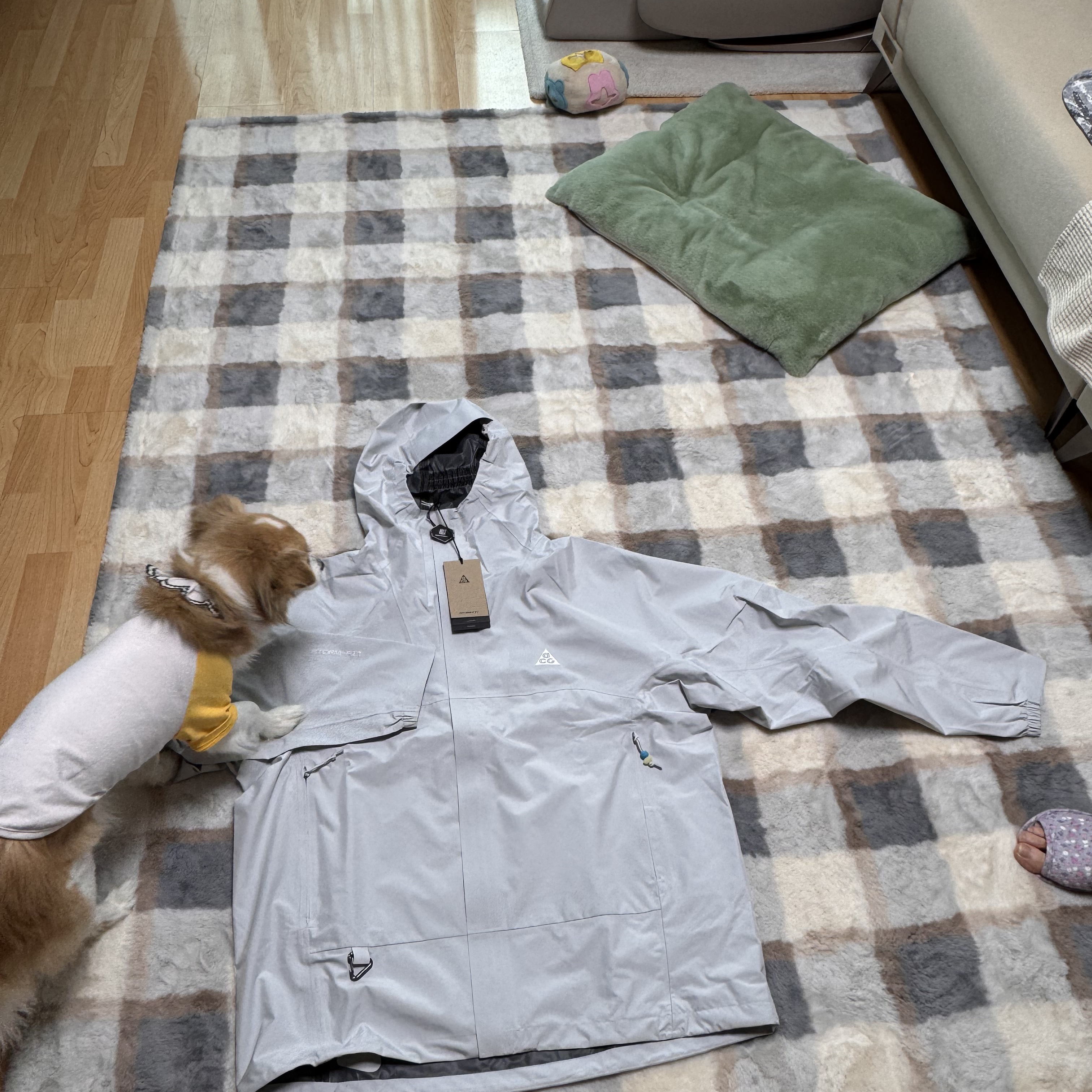 Nike ACG Storm-Fit ADV Cascade Rains Full Zip Jacket Photon Dust - Asia 착용 스타일