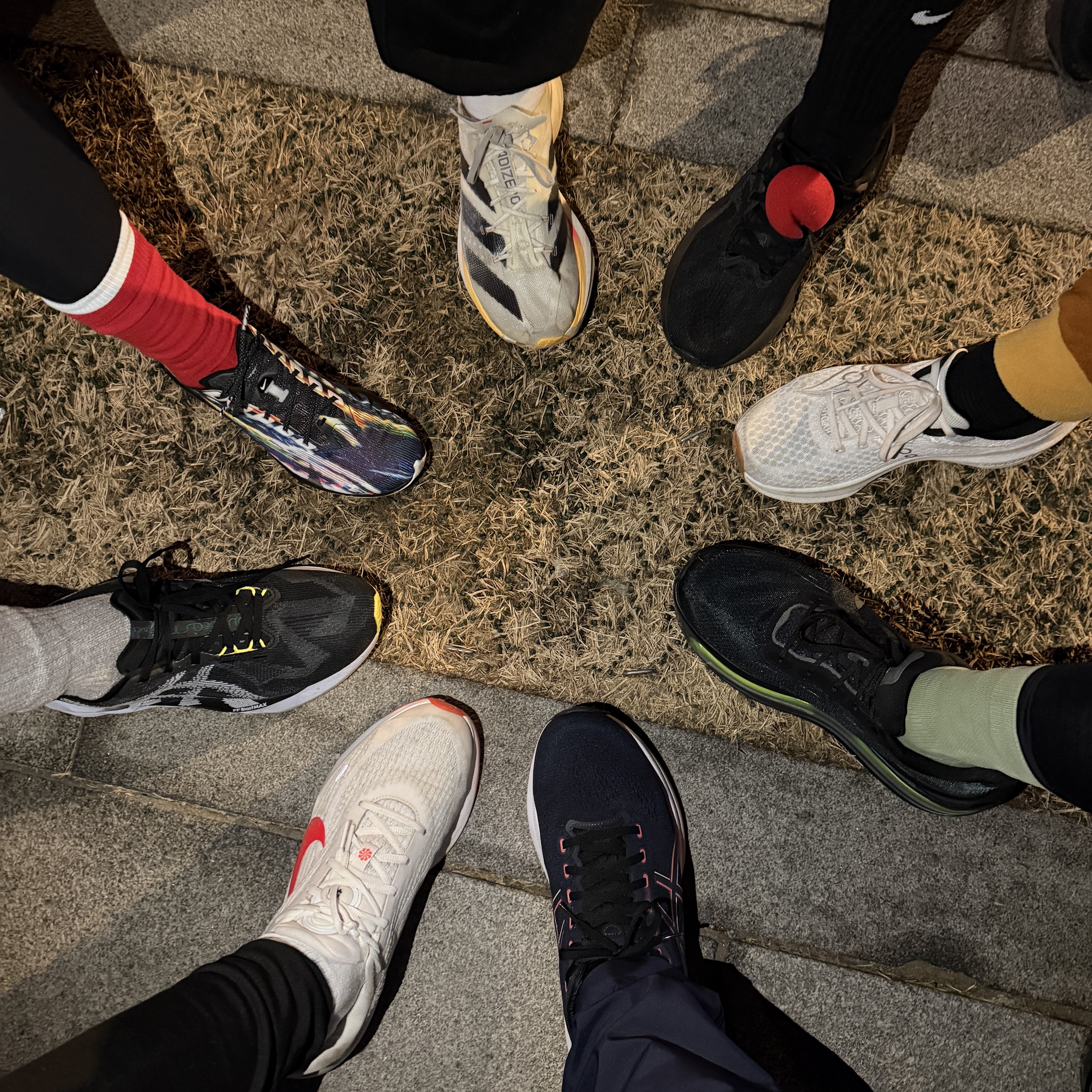 Asics Novablast 5 Luxe Black, (W) Asics Novablast 5 Black Carrier Grey 착용 스타일