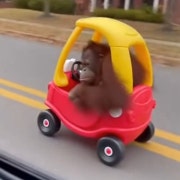 KREAM 프로필 이미지