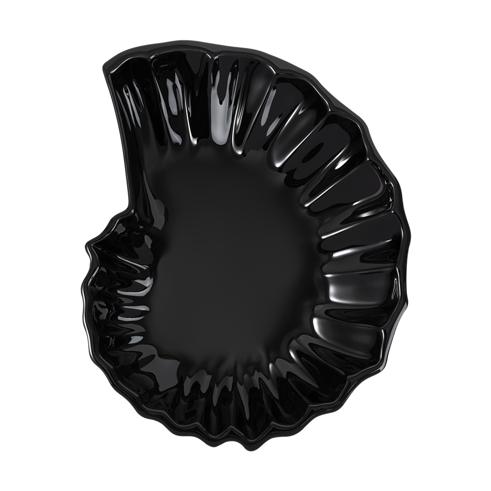 [3% 적립] 암모나이트 플레이트 블랙([3% 적립] AMMONITE PLATE BLACK) - 1