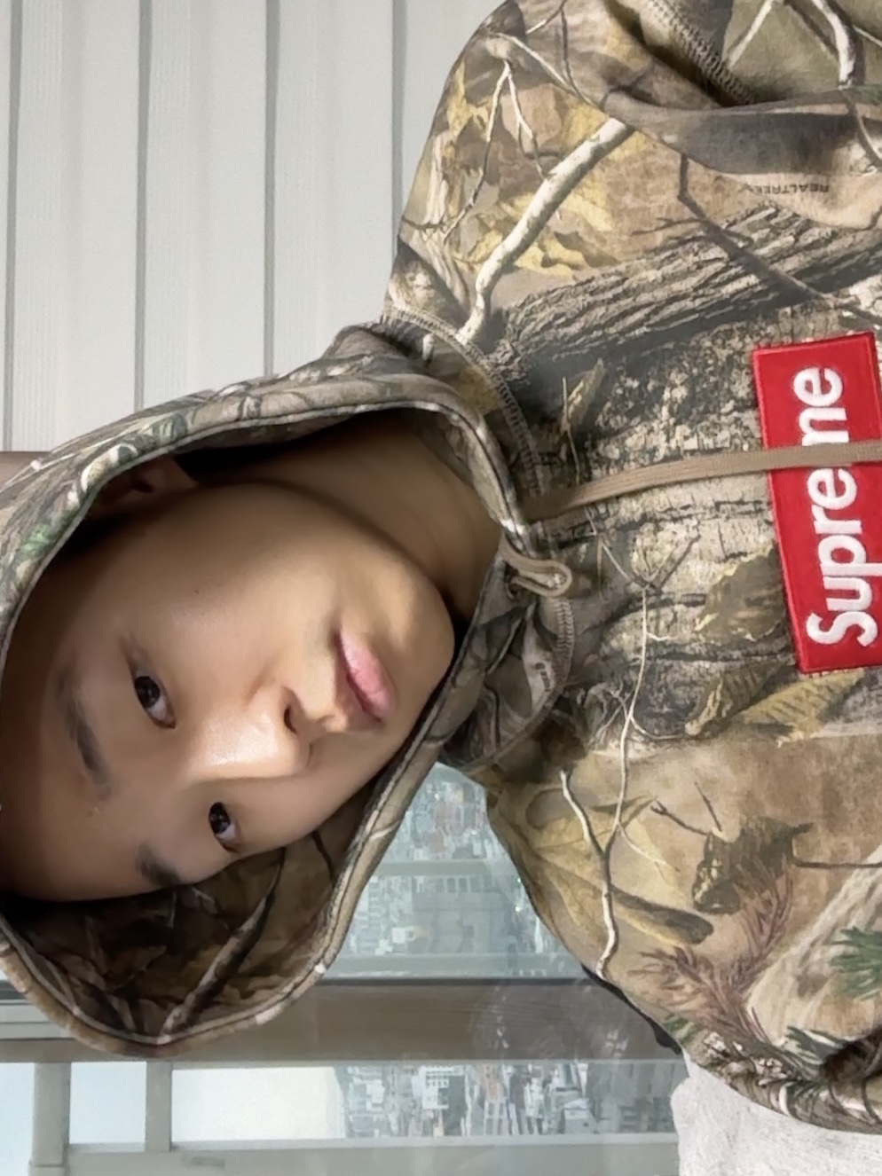 Supreme Box Logo Hooded Sweatshirt Realtree AP Camo - 25FW 착용 스타일