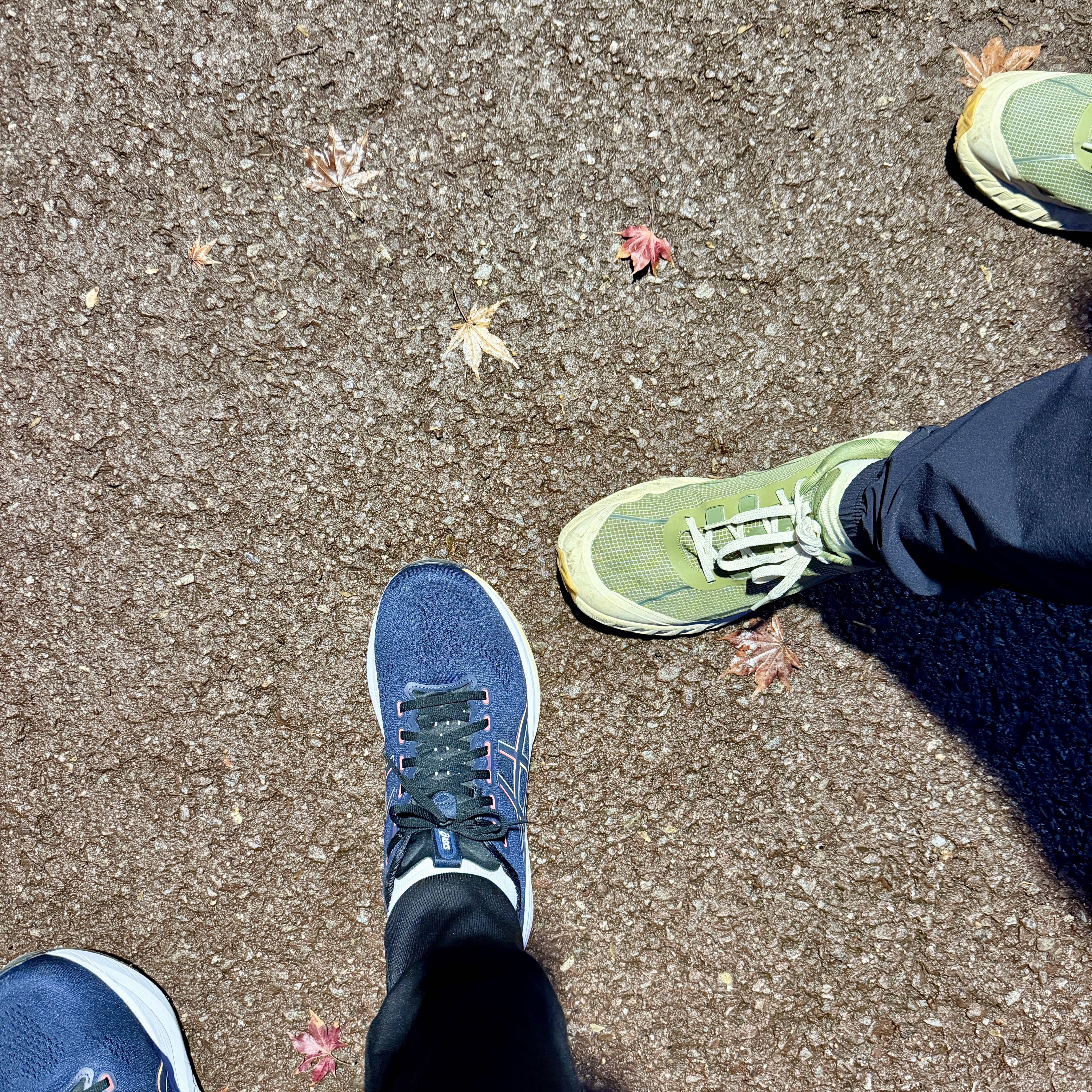 Norda 002 Sage, Asics Gel-Kayano 32 Midnight Black - D Standard 착용 스타일 - 1