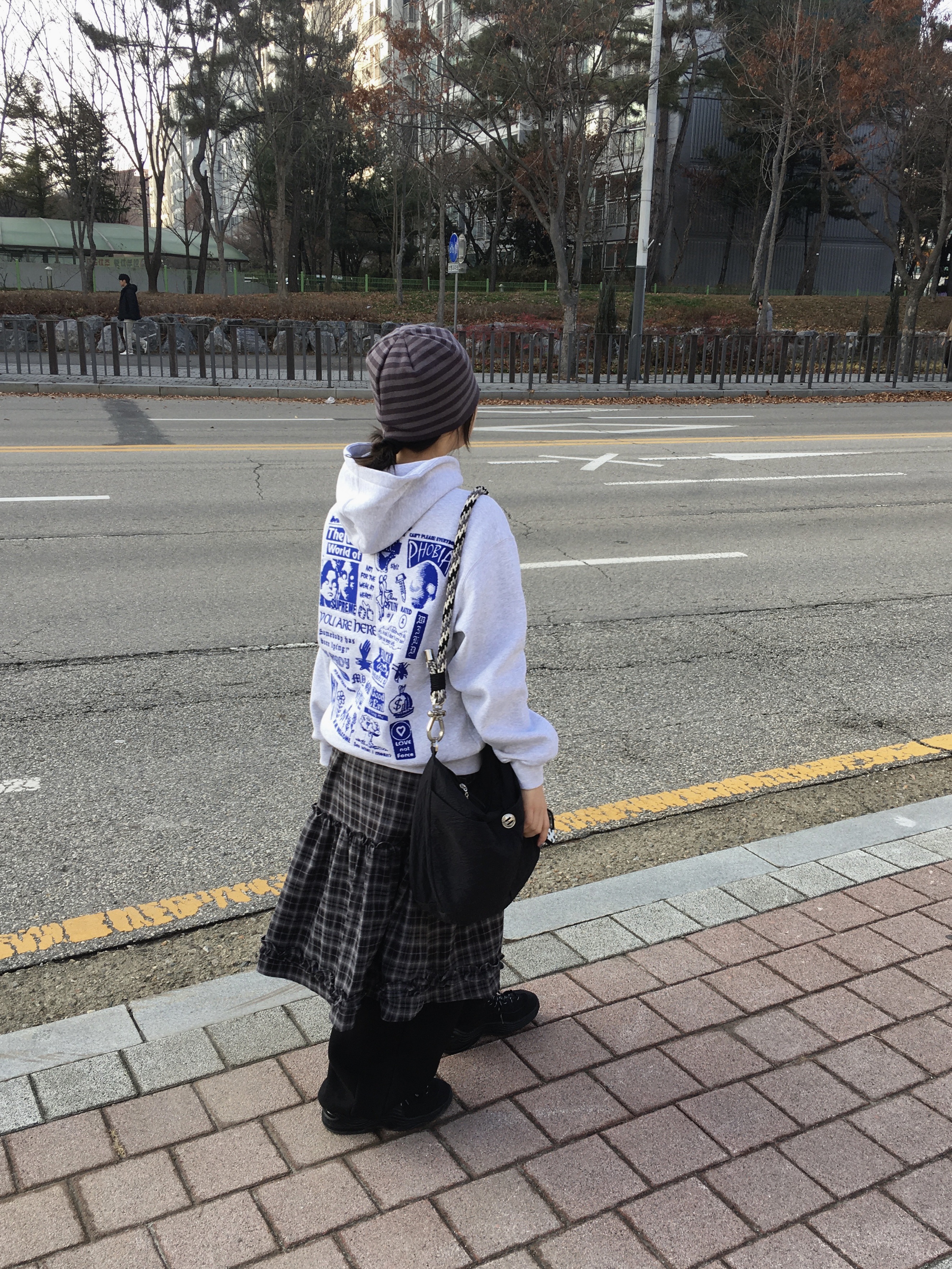 Supreme Wild Embroidered Hooded Sweatshirt Ash Grey - 24FW 착용 스타일
