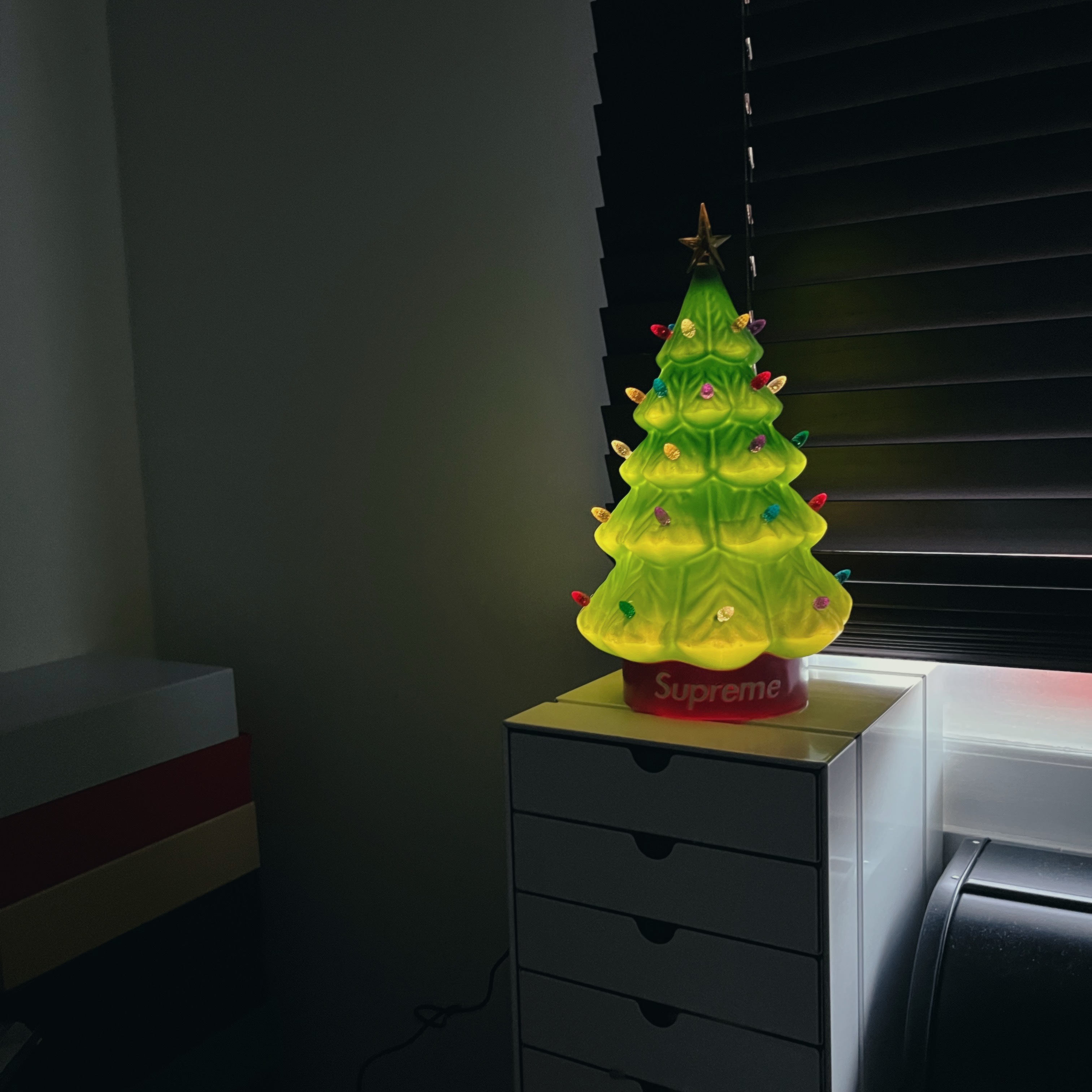Supreme 15" Holiday Tree Green - 25FW 착용 스타일