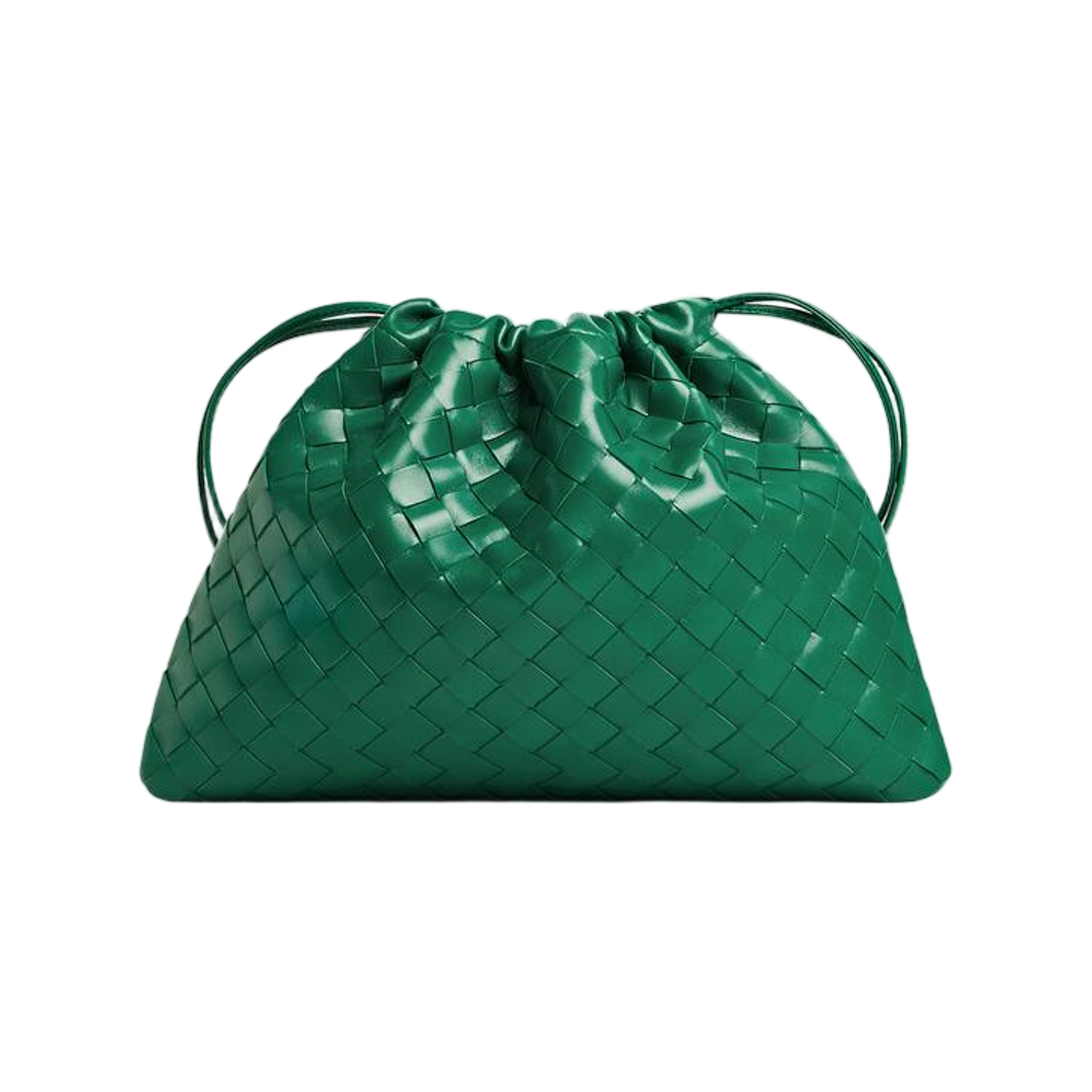 796728V3IV13197 Bottega Veneta Dustbag Jungle