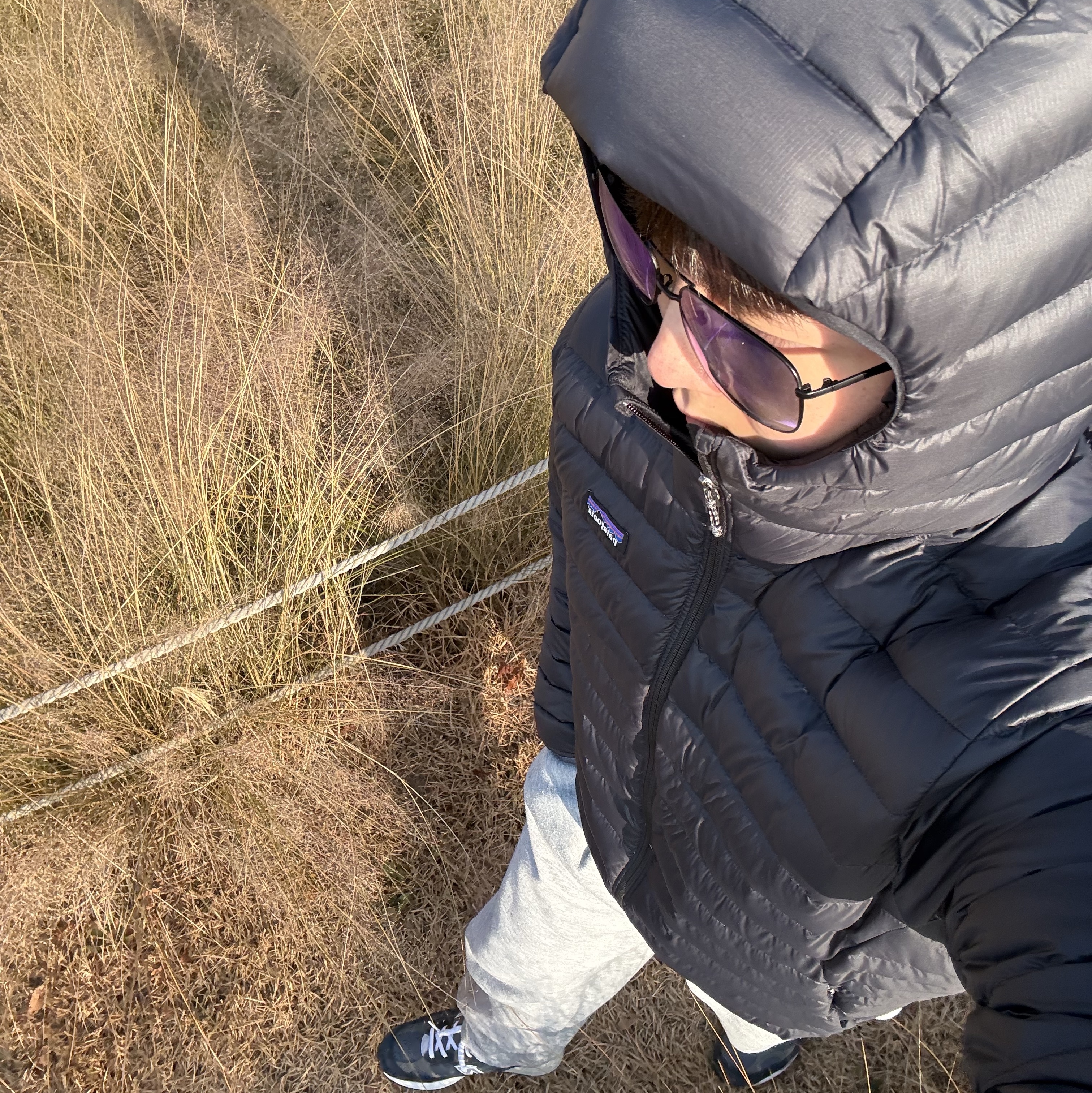 Patagonia Down Sweater Hoody Black, Jordan 1 Low Bred Toe 착용 스타일 - 2