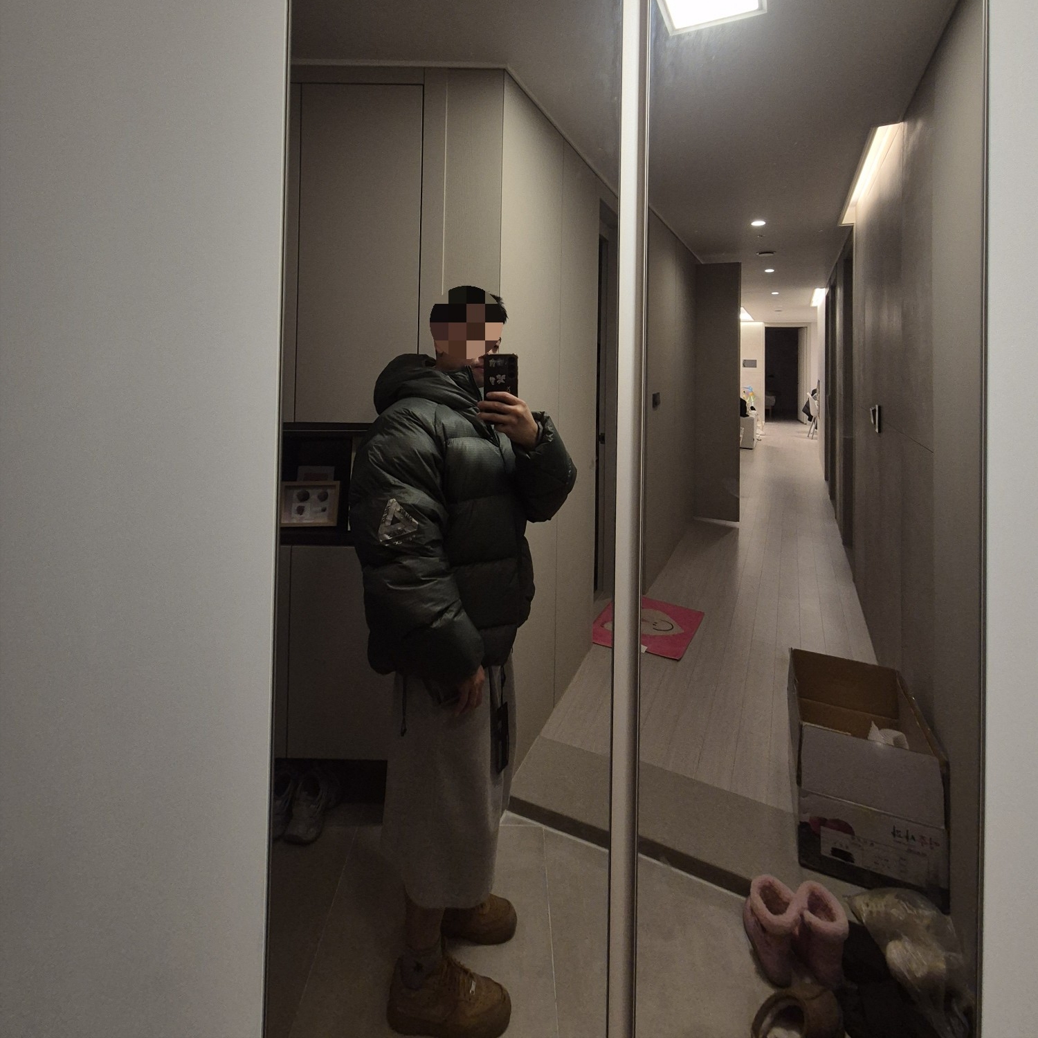 Palace Pertex Quantum RS Puffa Green - 25FW 착용 스타일 - 5