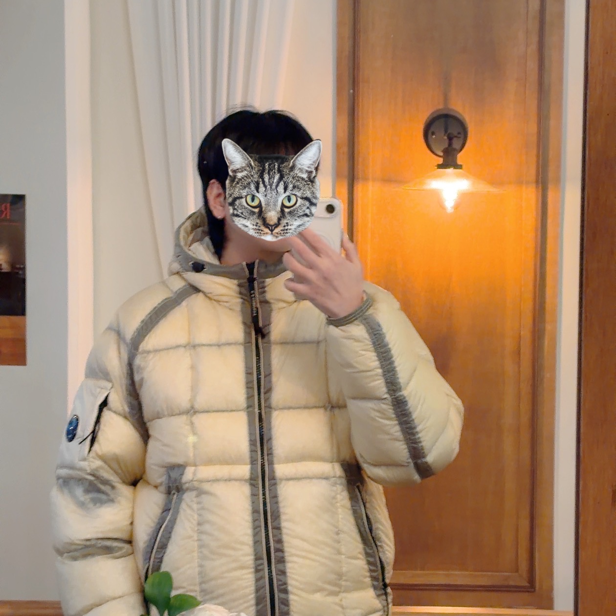 C.P. Company D.D. Shell Hooded Down Jacket Pistachio Shell Beige - 25FW 착용 스타일