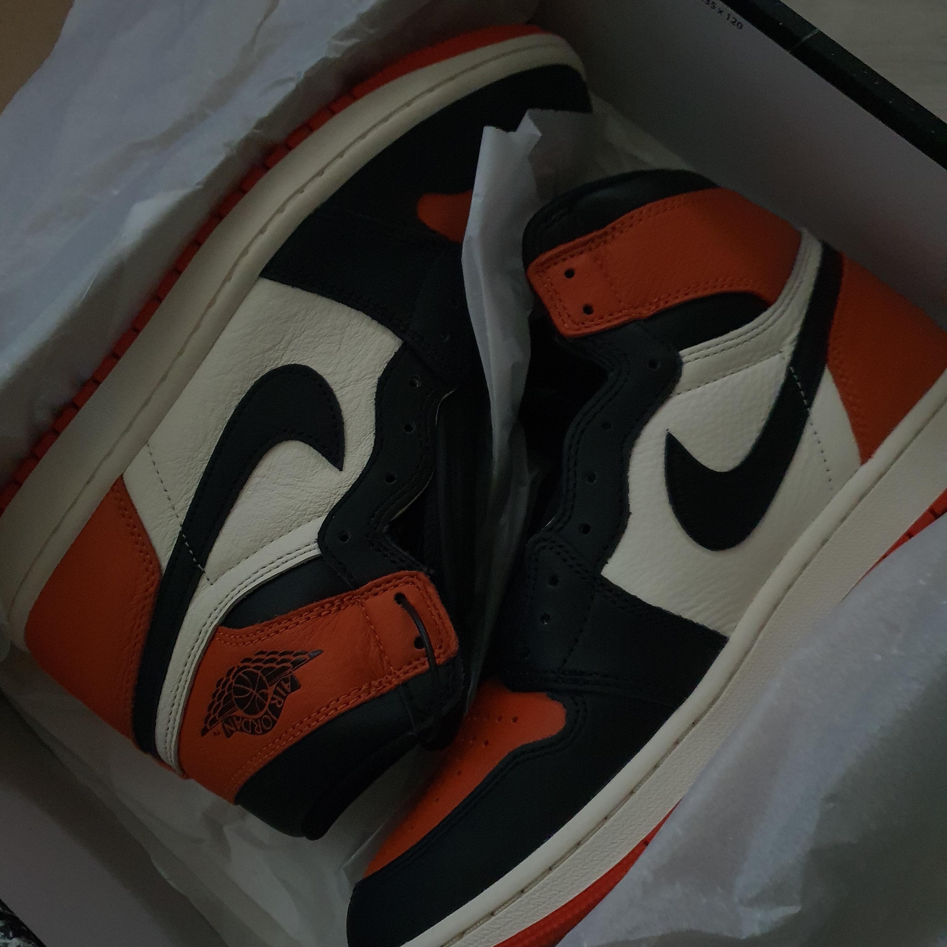 Jordan 1 Retro High OG Shattered Backboard 착용 스타일 - 2
