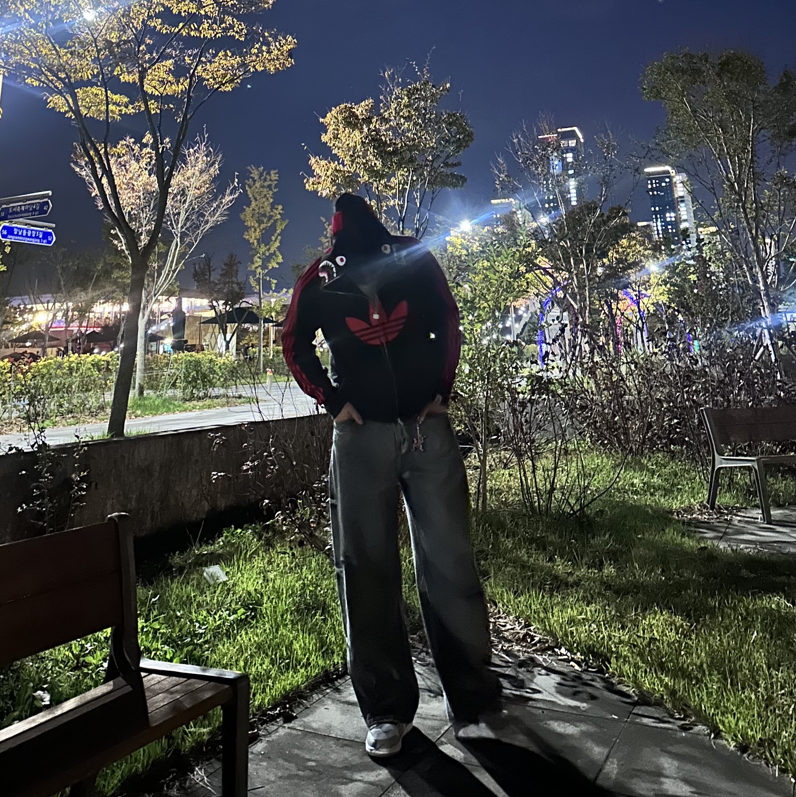 Adidas x BAPE Ultimate Shark Hoodie Black - KR Sizing, Arc'teryx Keyring Metal 착용 스타일